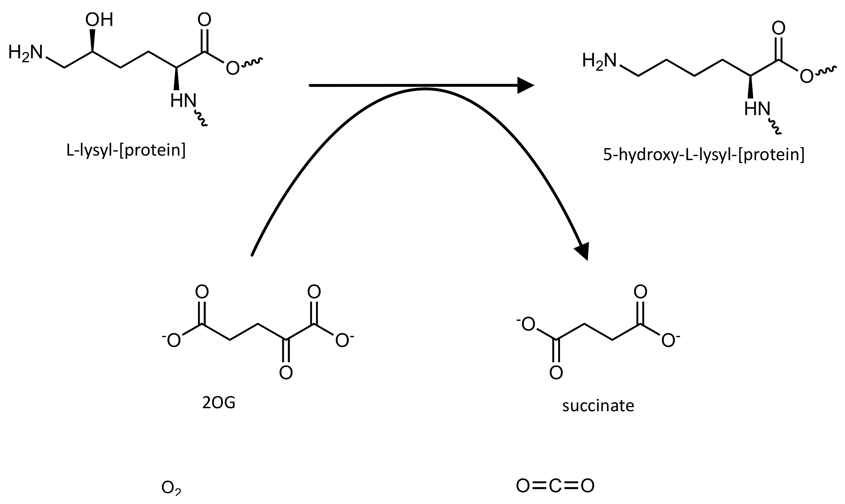 Pharmaceutics 14 00010 g013