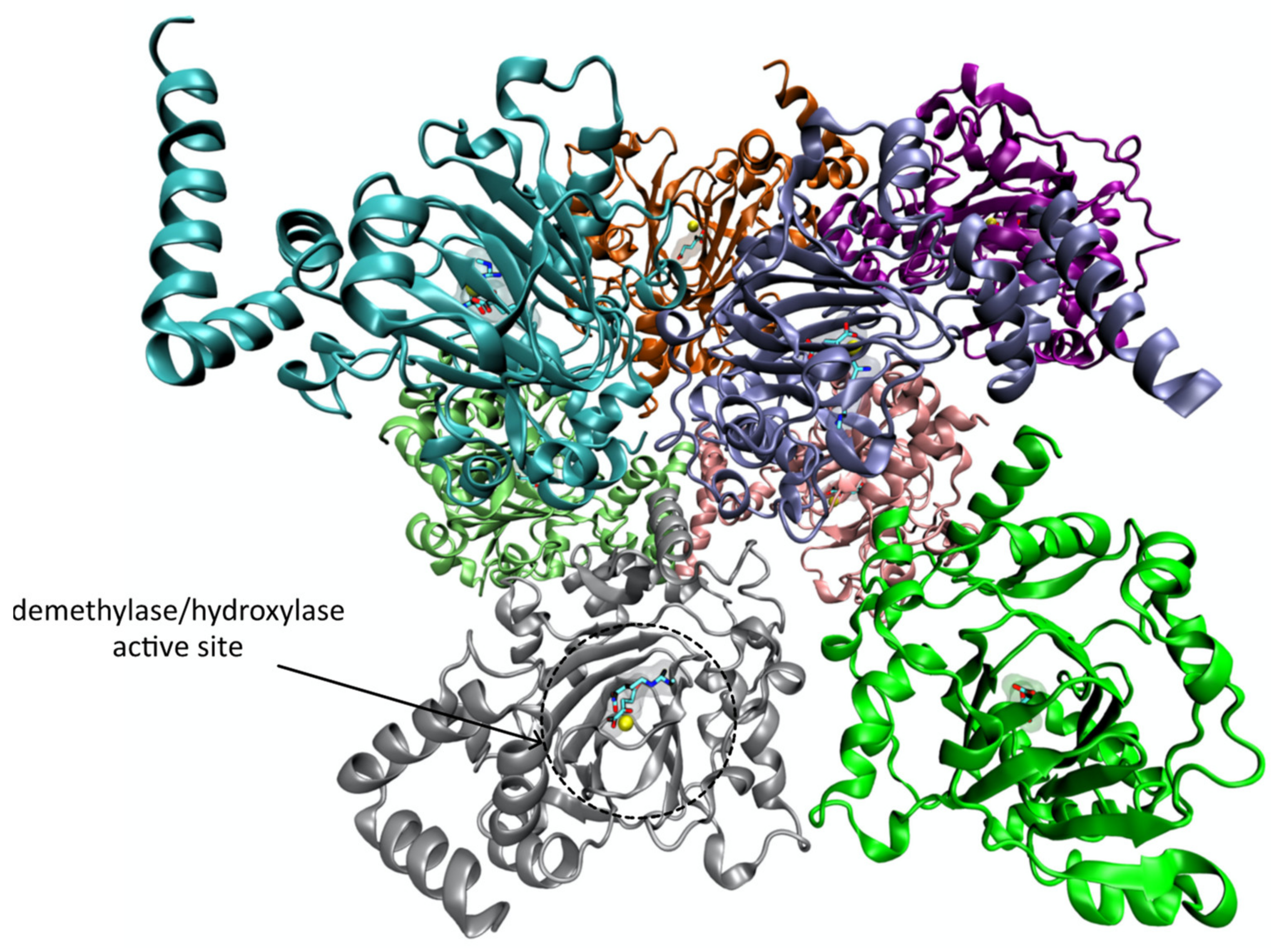 Pharmaceutics 14 00010 g015