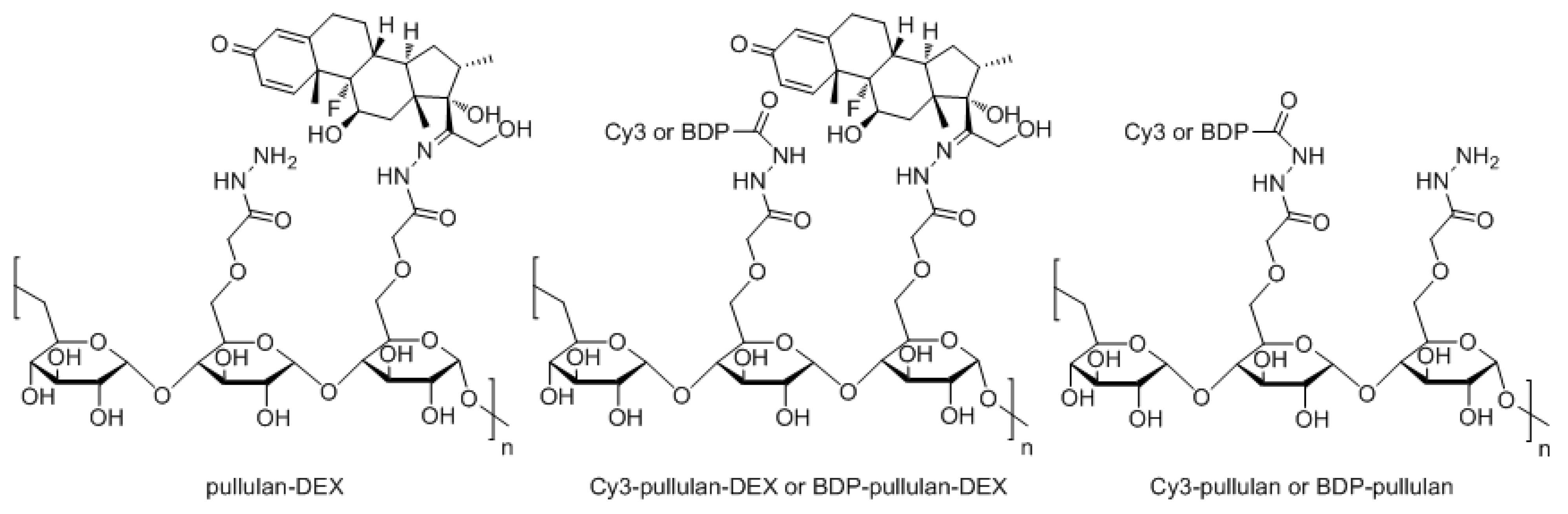 Pharmaceutics 14 00012 g001