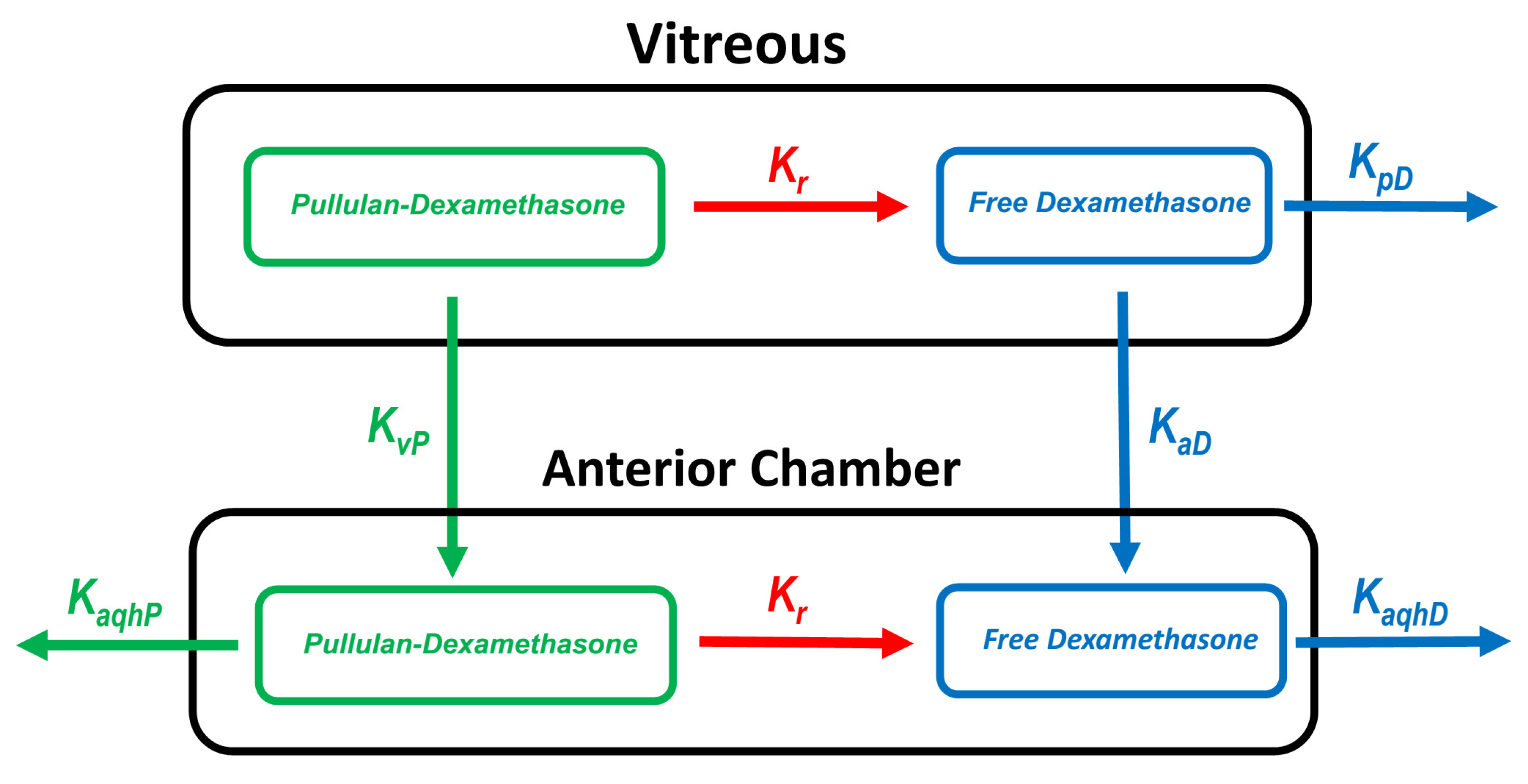 Pharmaceutics 14 00012 g002