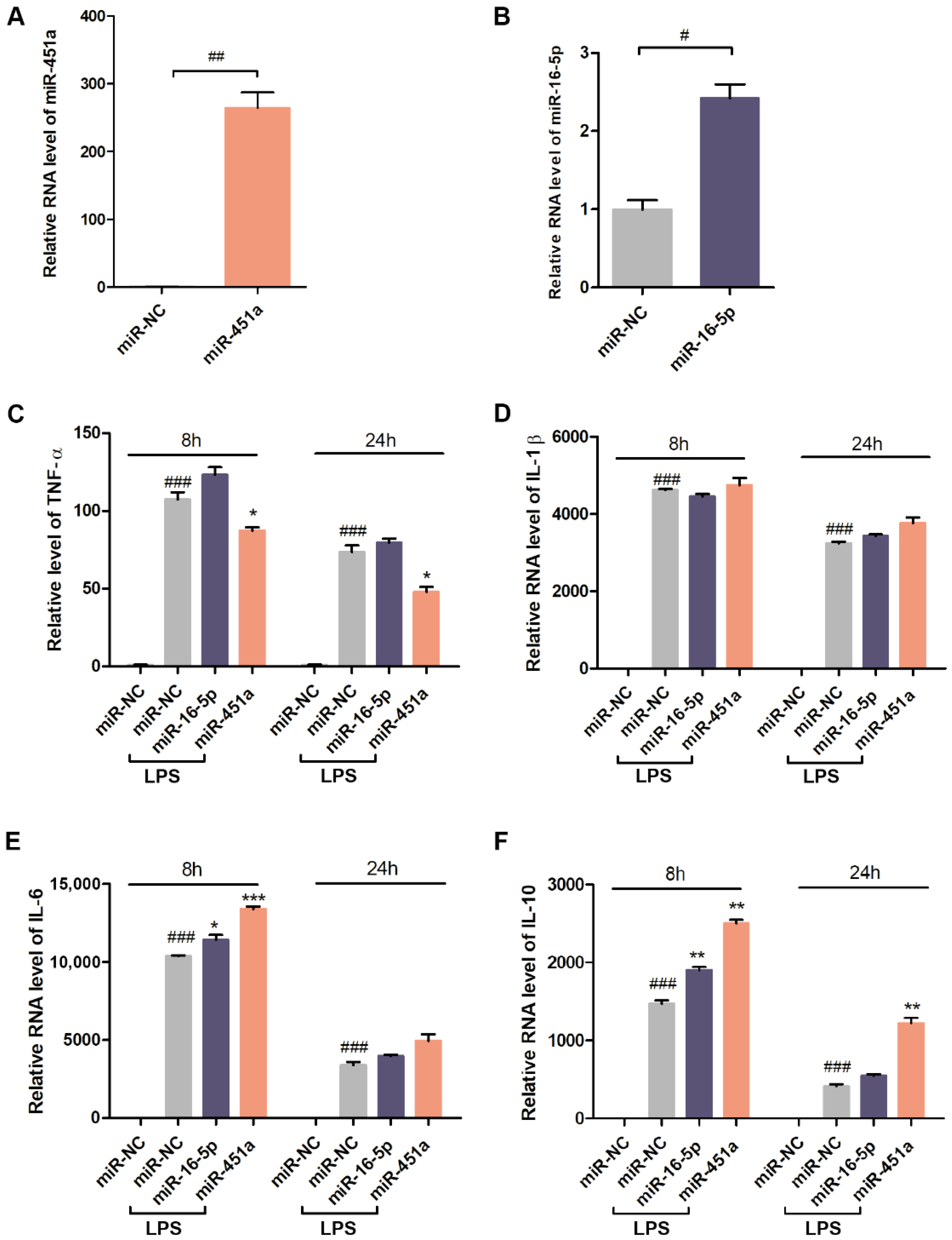 Pharmaceutics 14 00016 g005