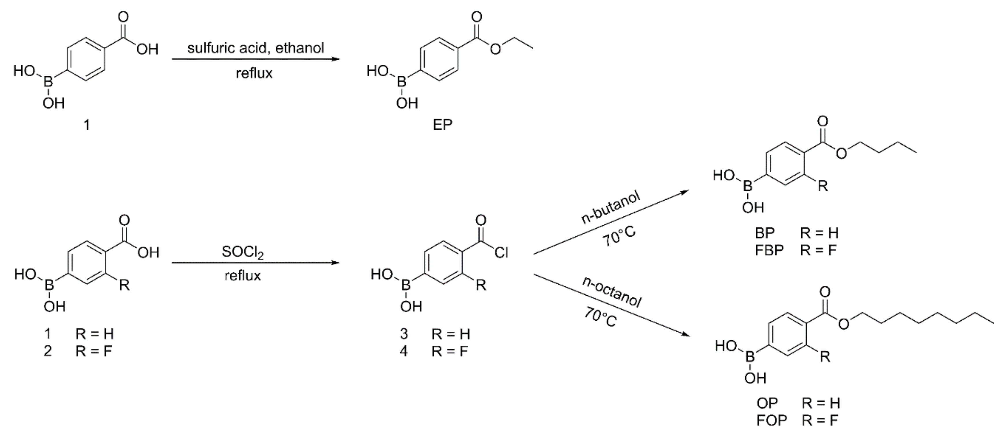 Pharmaceutics 14 00021 g002