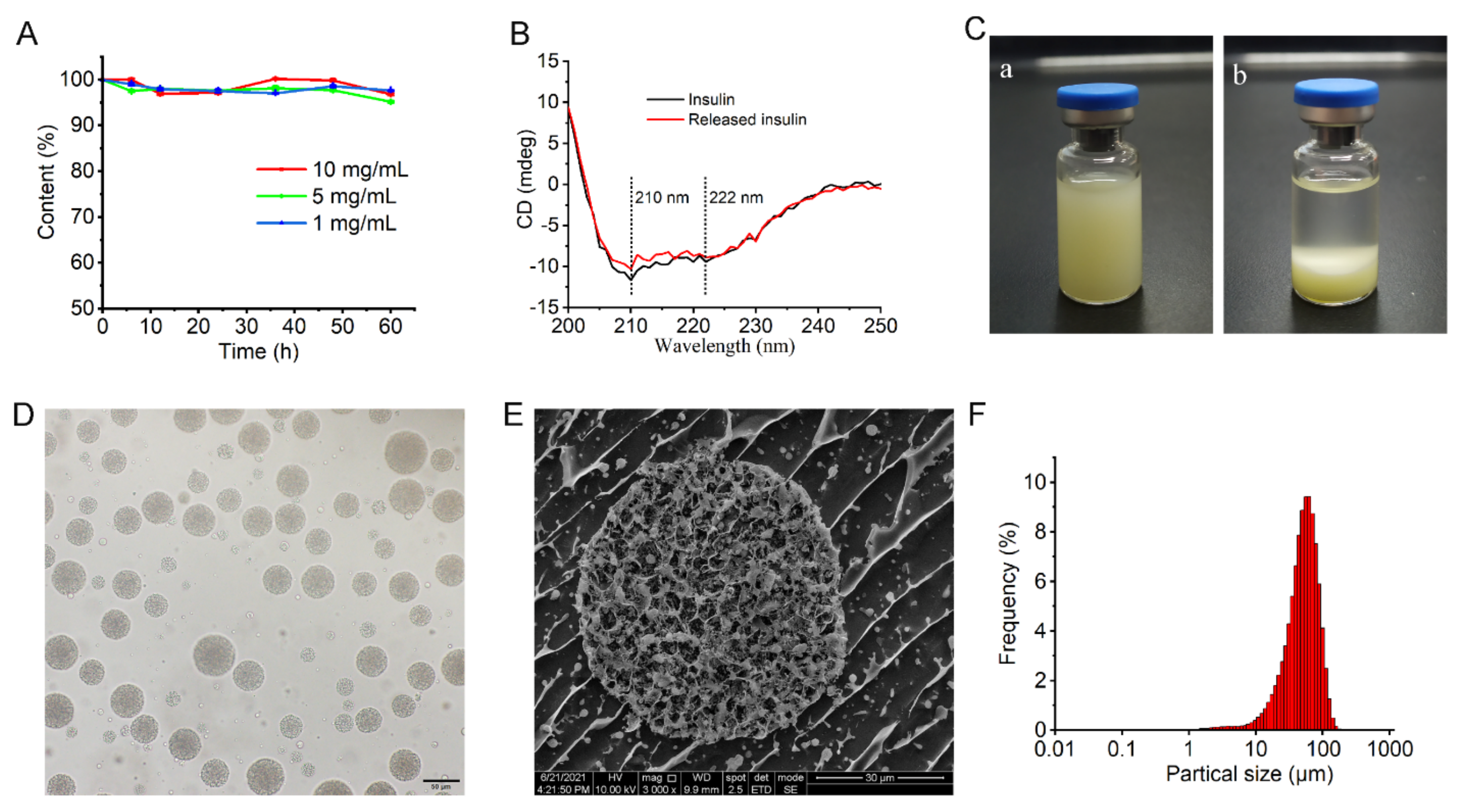 Pharmaceutics 14 00021 g004