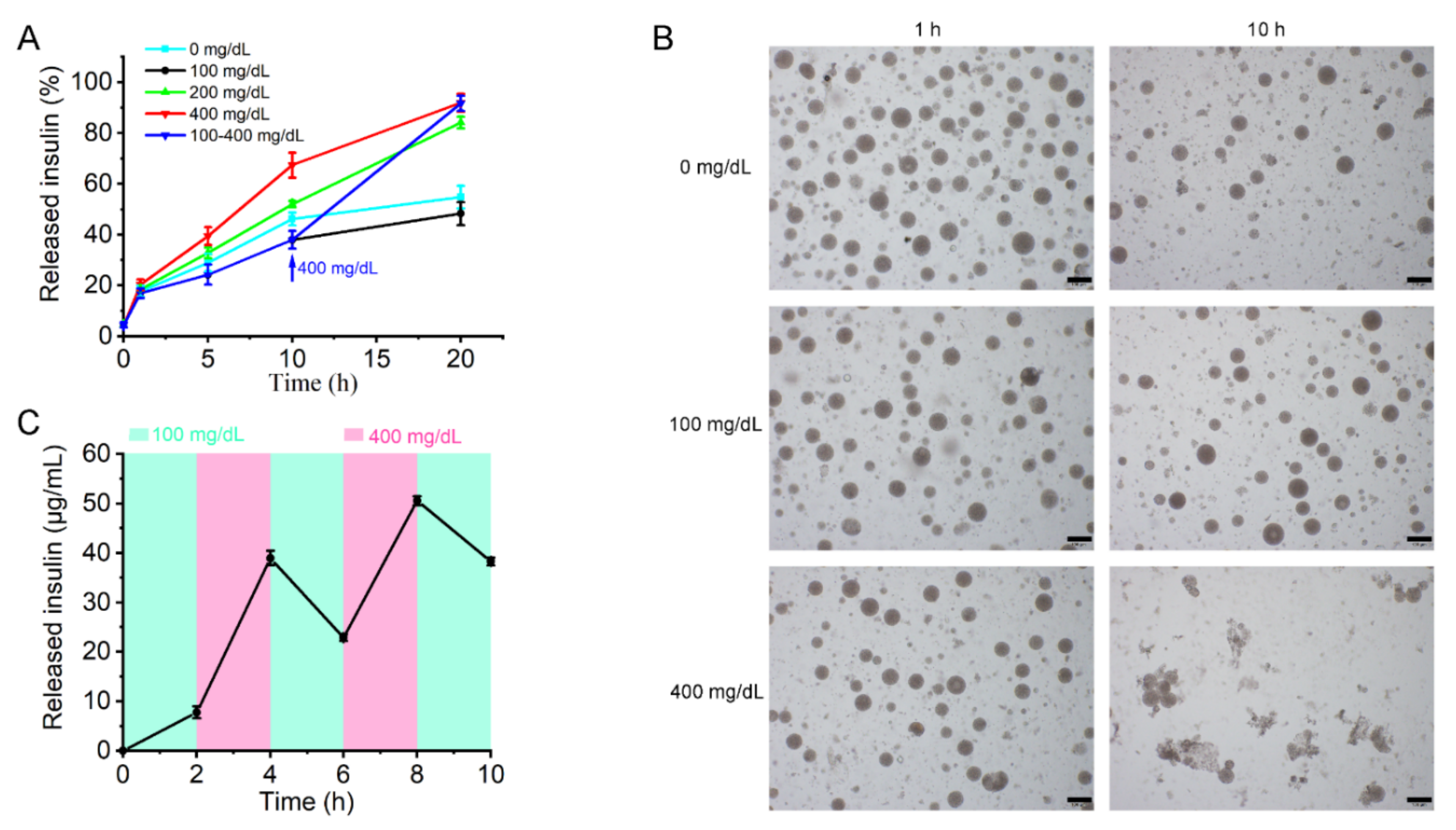 Pharmaceutics 14 00021 g006