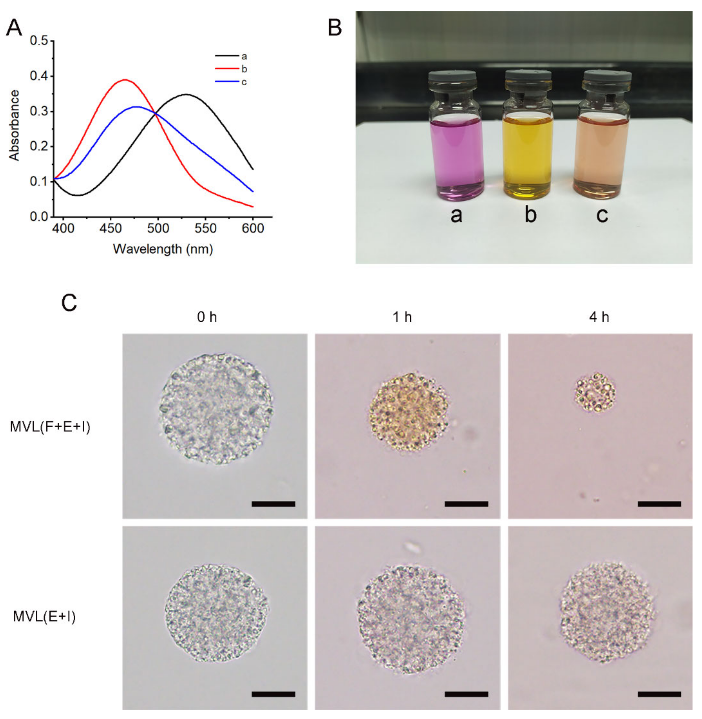 Pharmaceutics 14 00021 g007