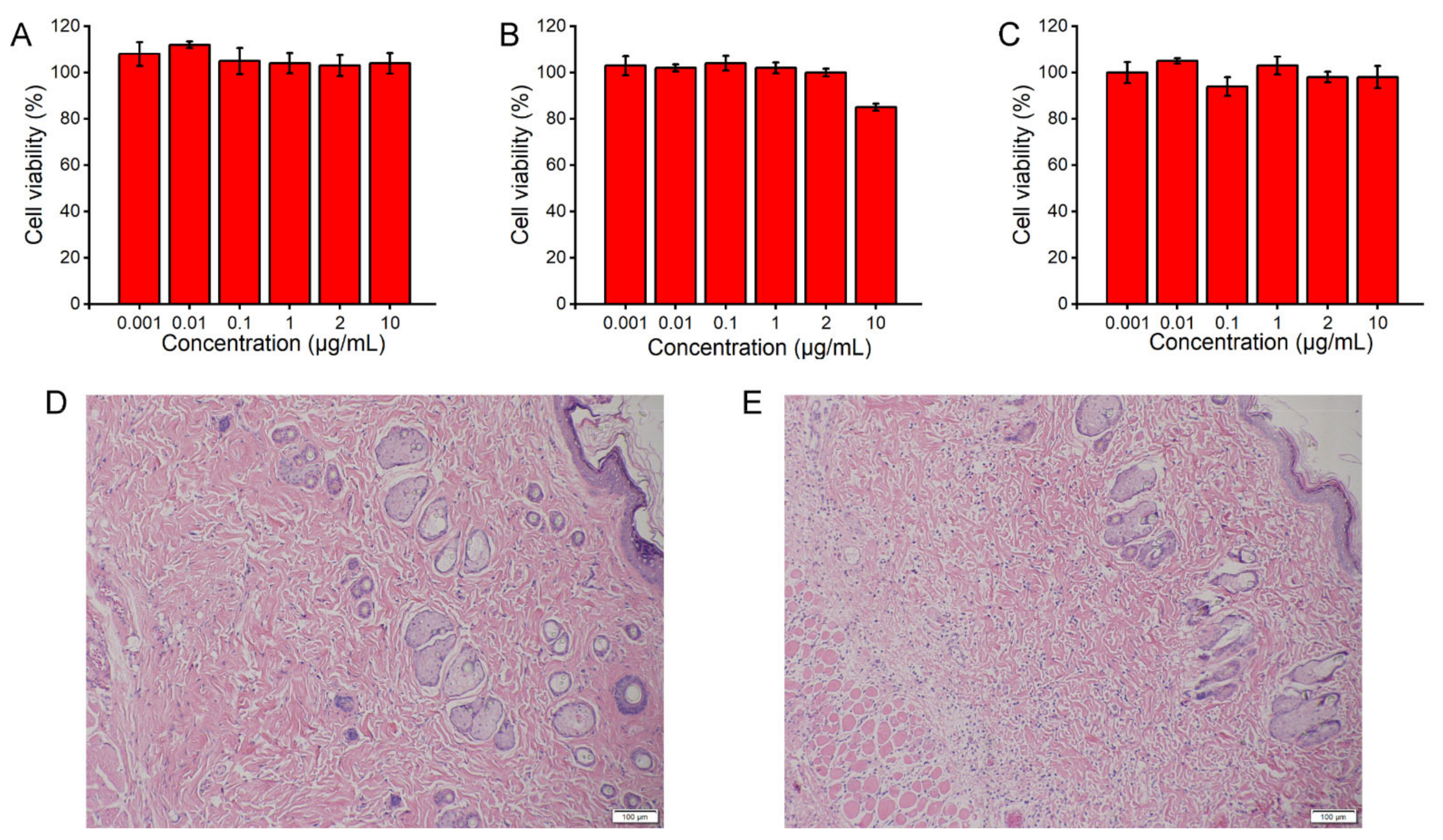 Pharmaceutics 14 00021 g010