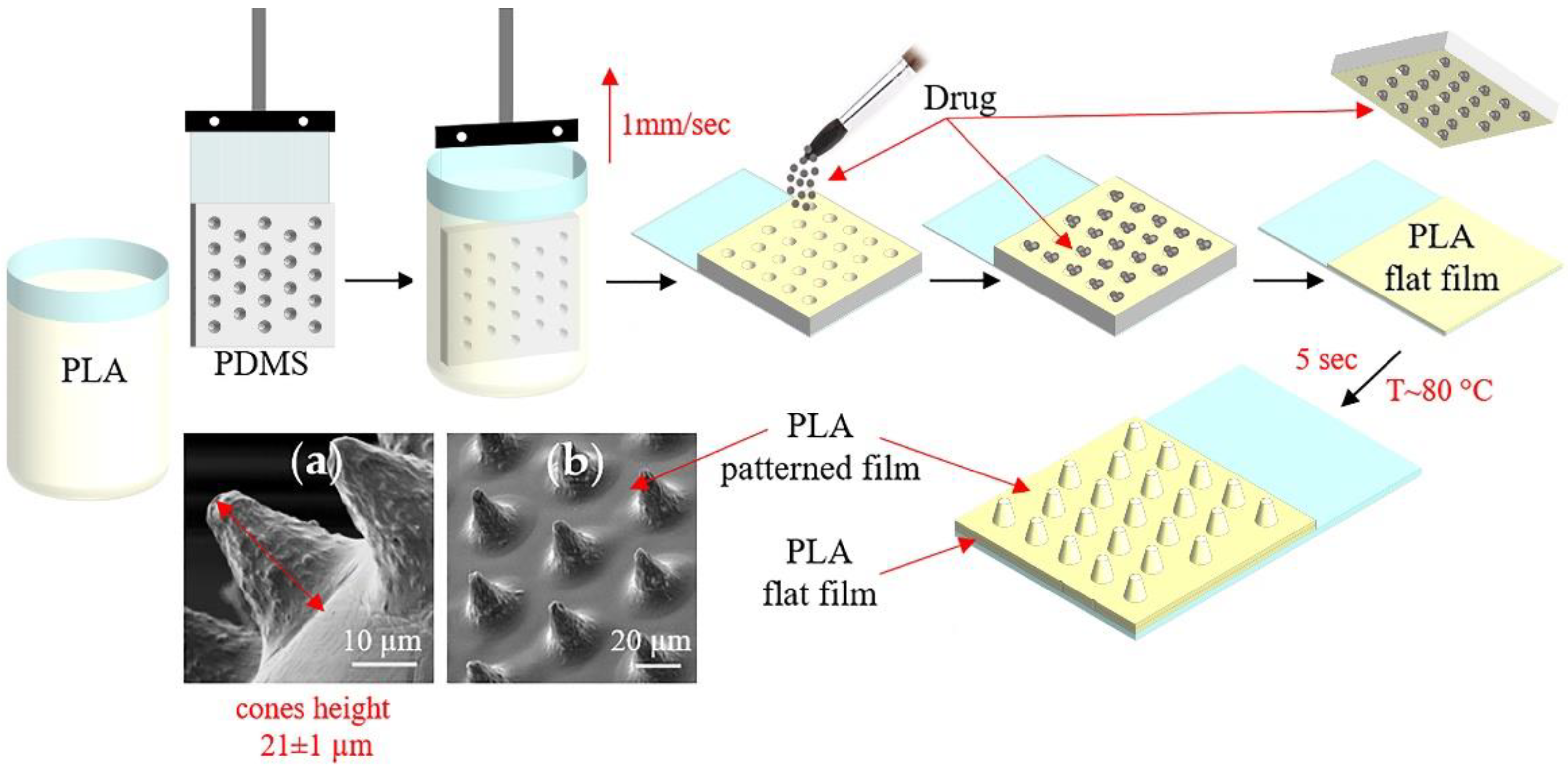 Pharmaceutics 14 00042 g001