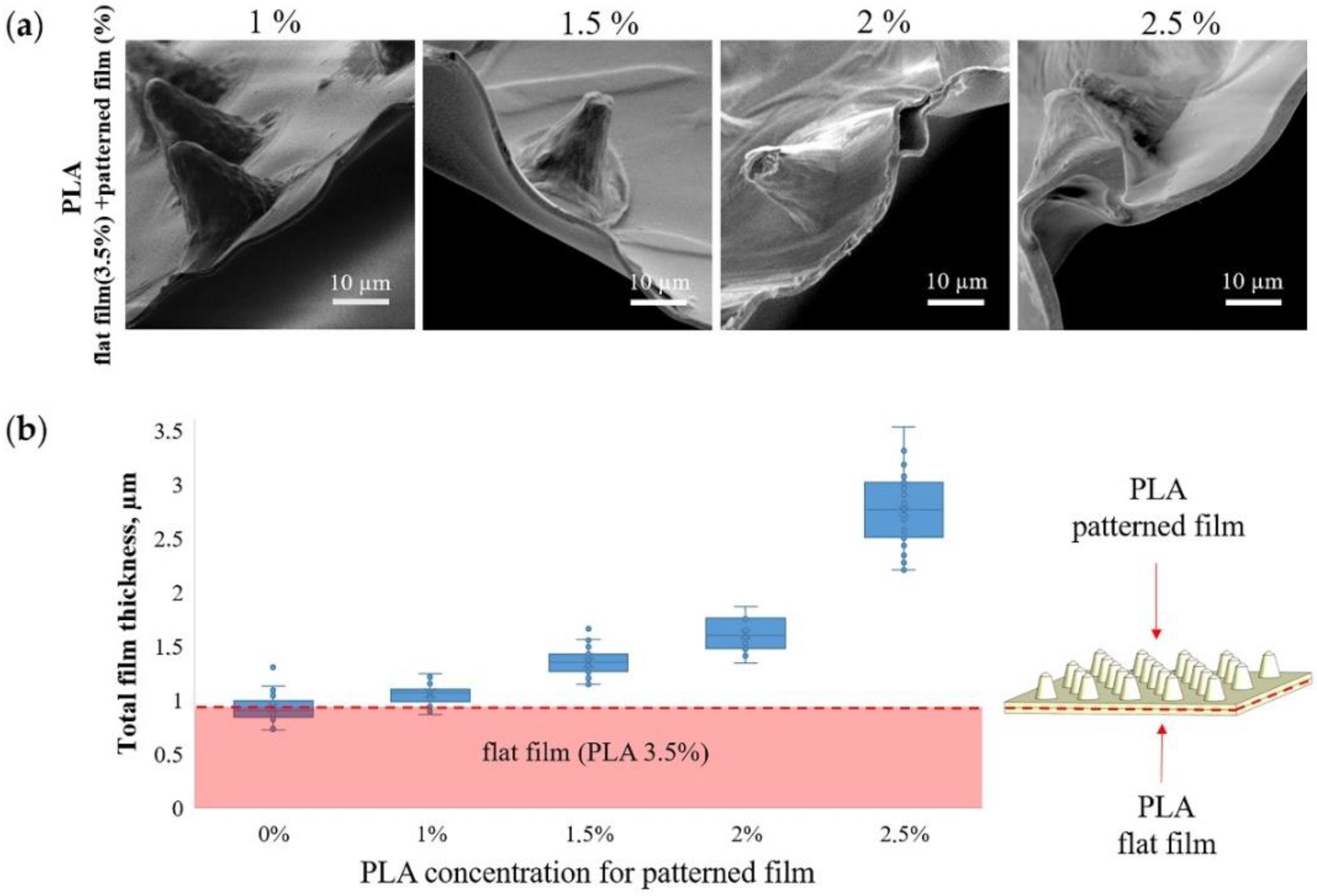Pharmaceutics 14 00042 g002