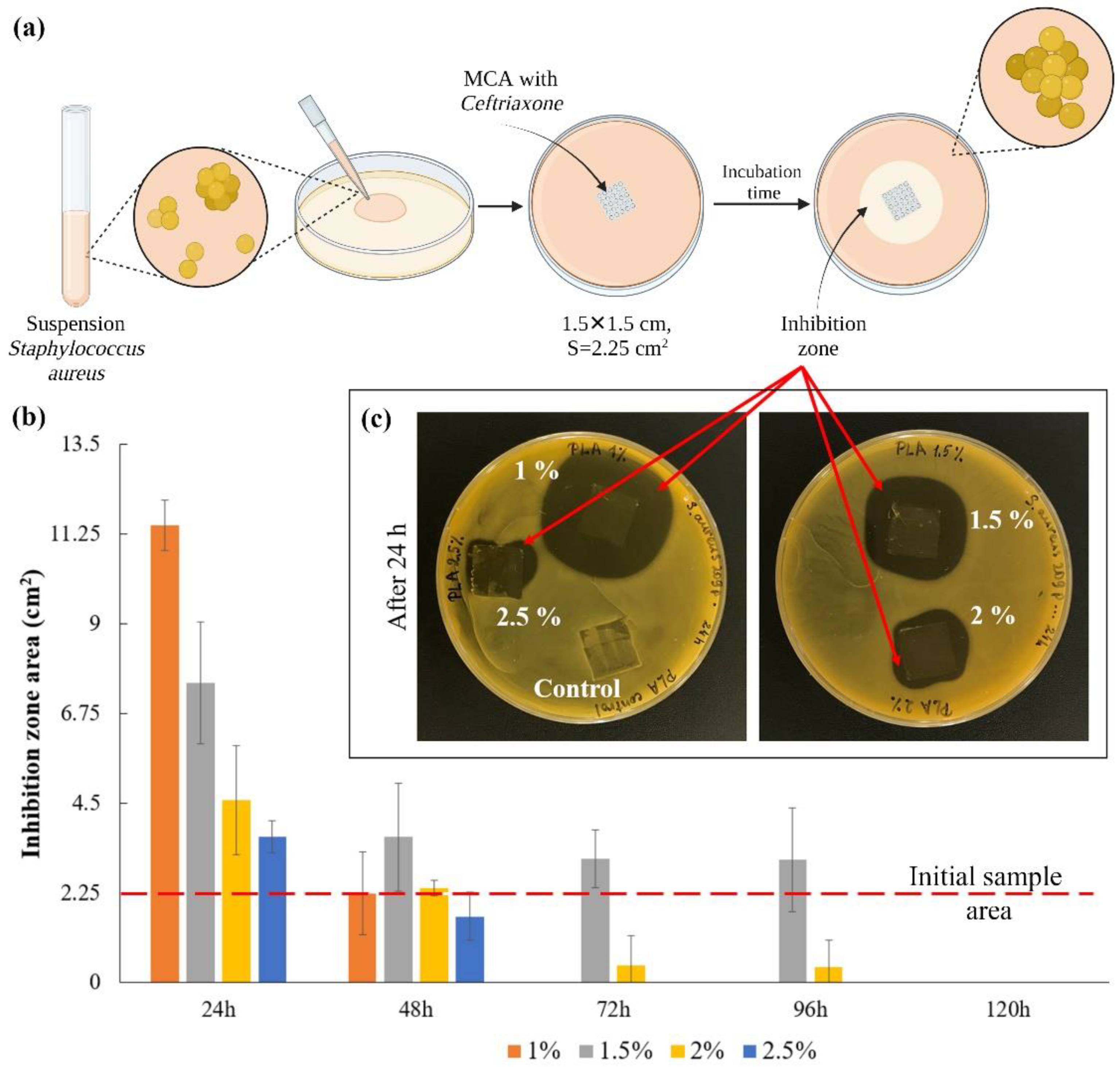Pharmaceutics 14 00042 g005