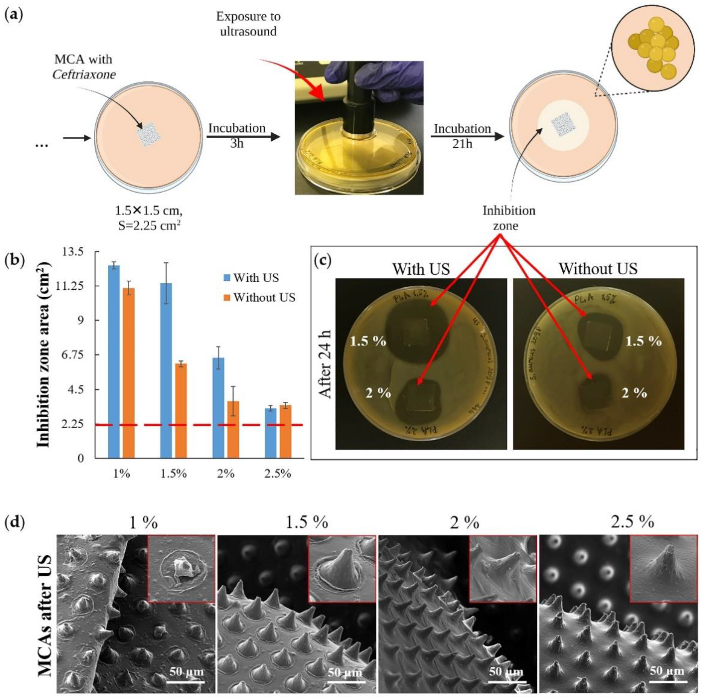 Pharmaceutics 14 00042 g006