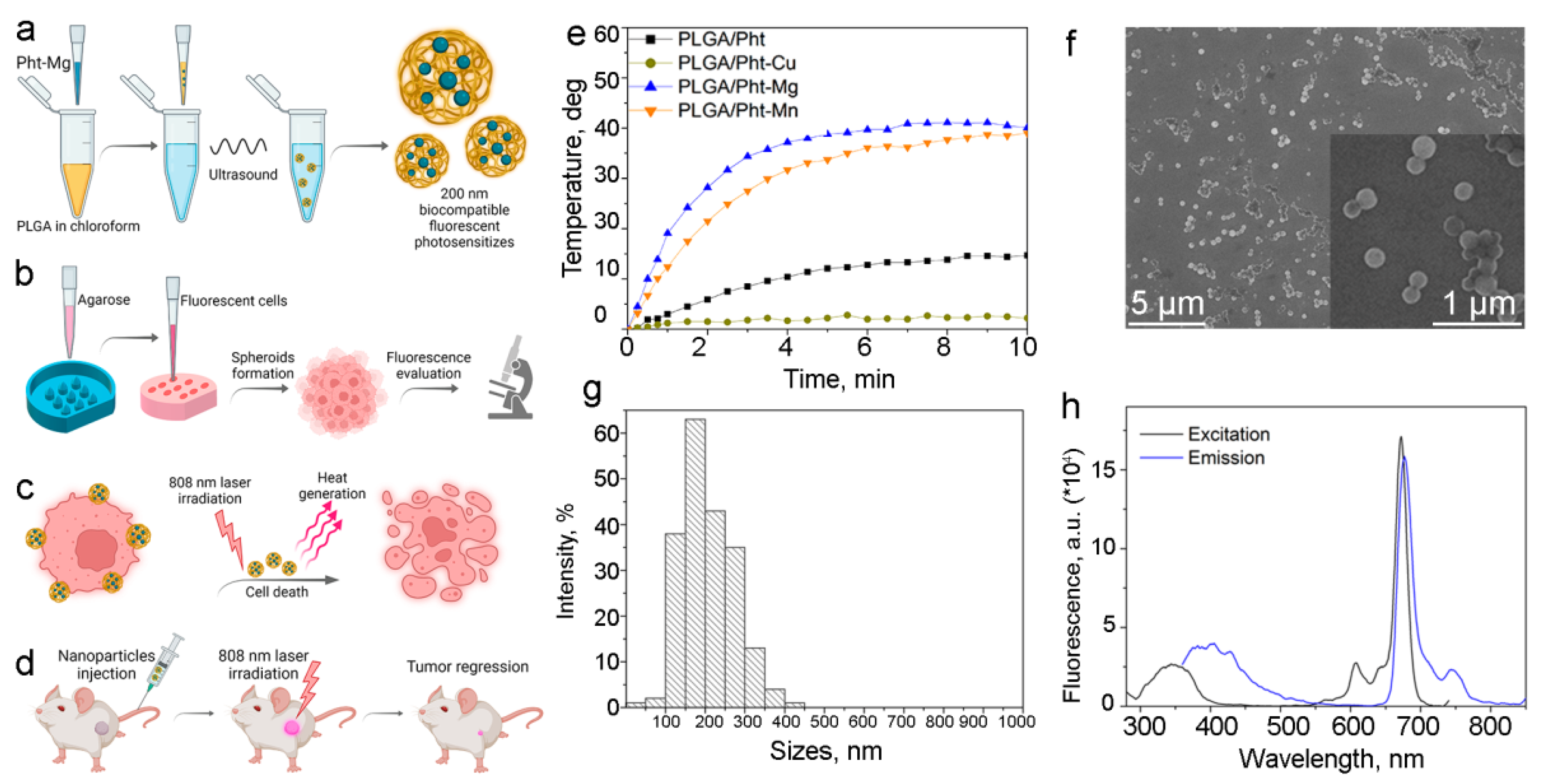 Pharmaceutics 14 00043 g001