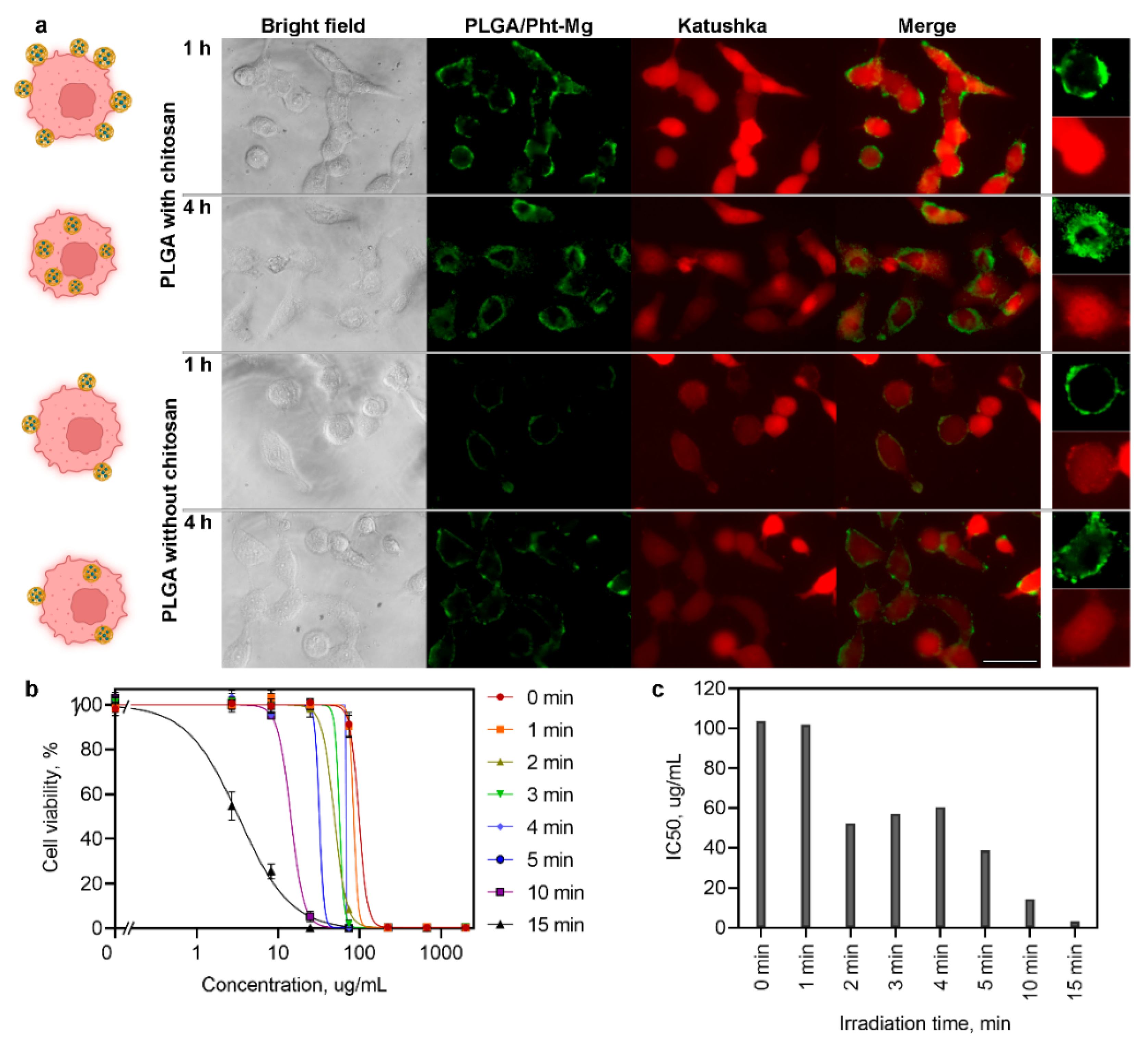 Pharmaceutics 14 00043 g002