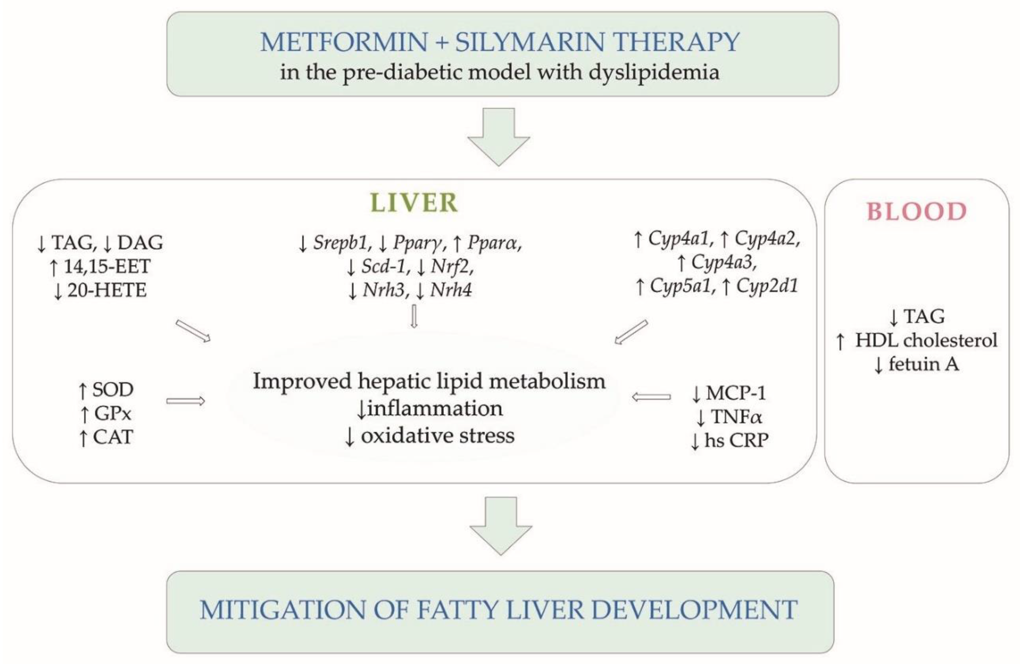 Pharmaceutics 14 00045 g005