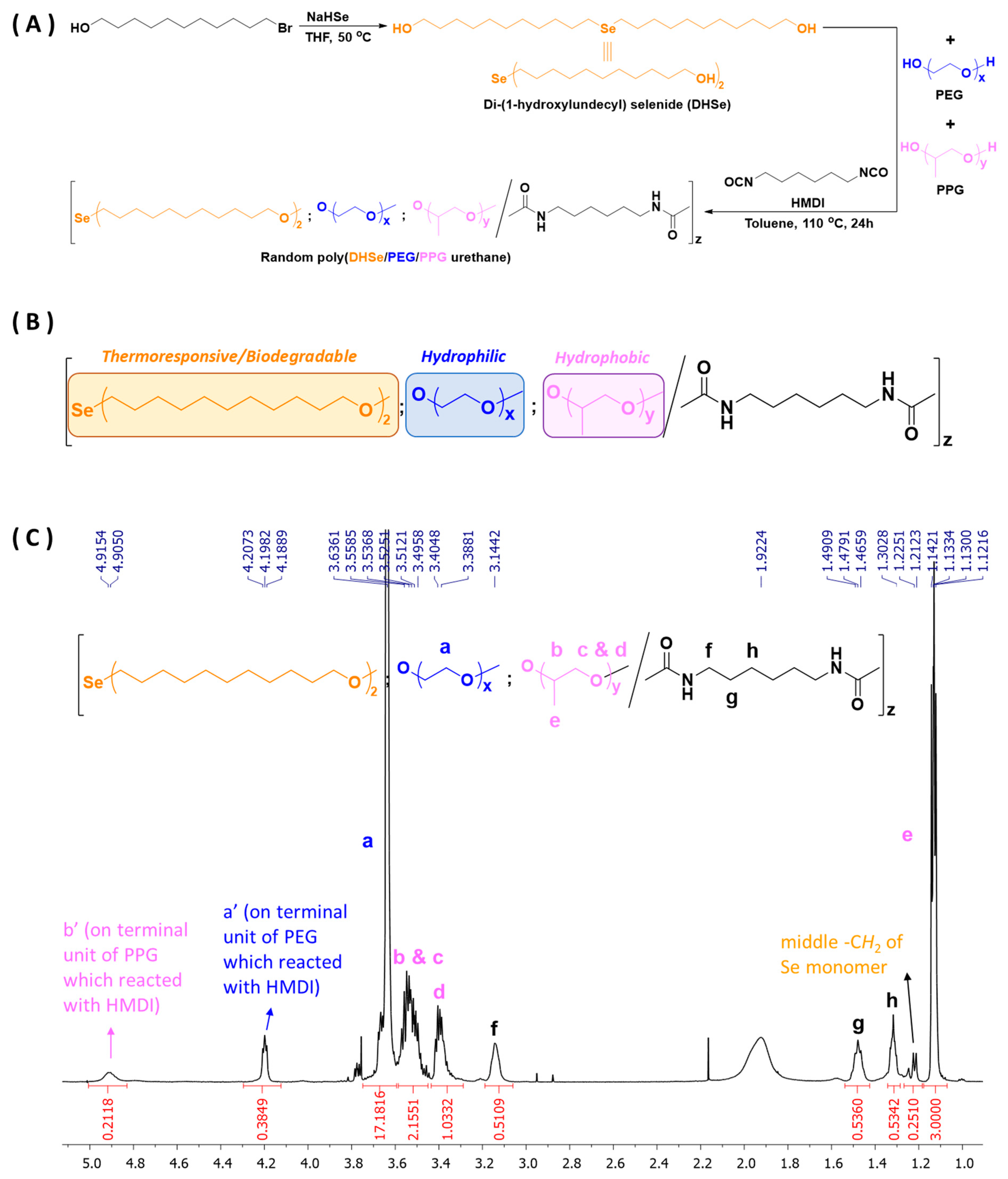 Pharmaceutics 14 00050 g001