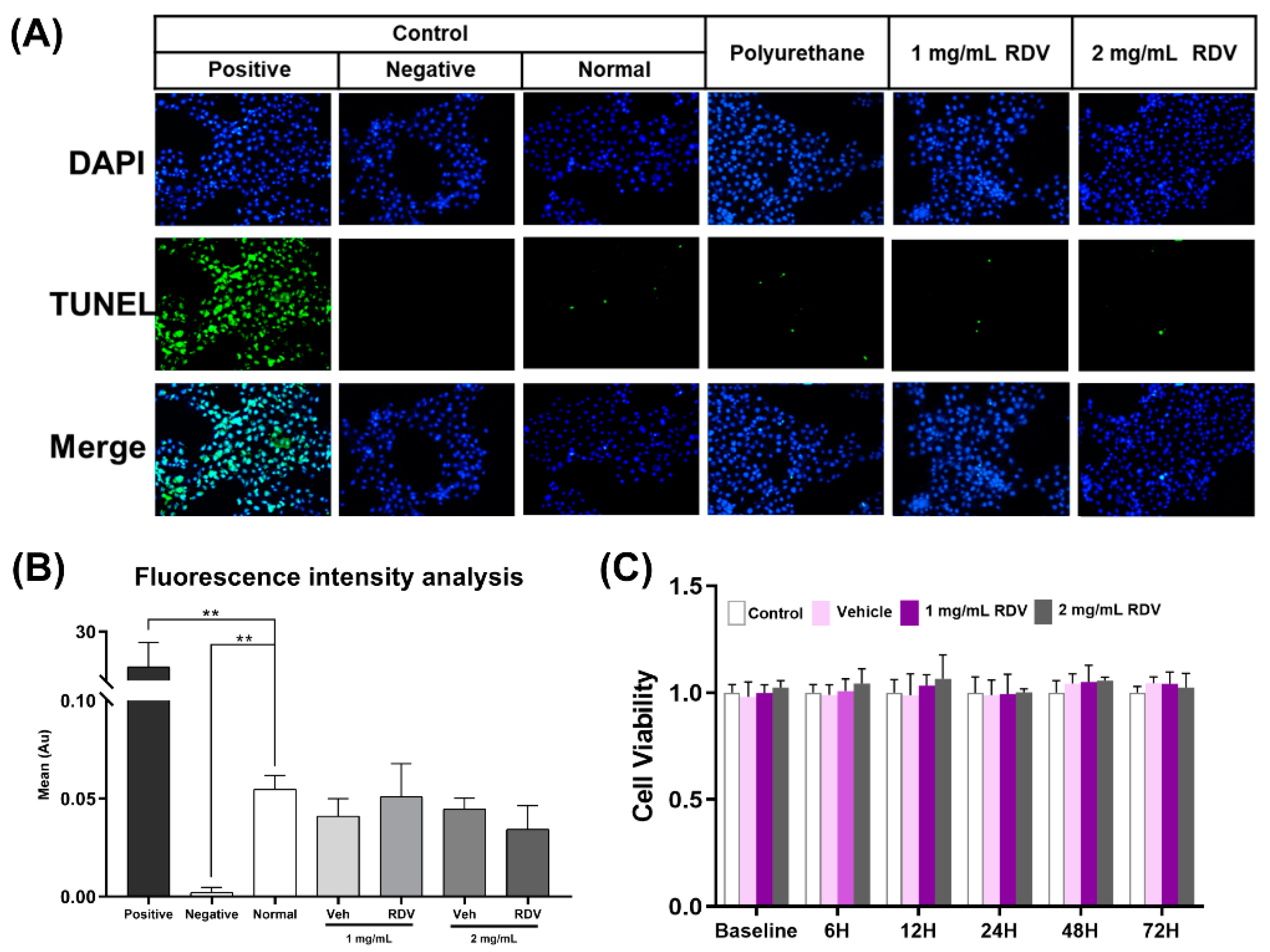 Pharmaceutics 14 00050 g007