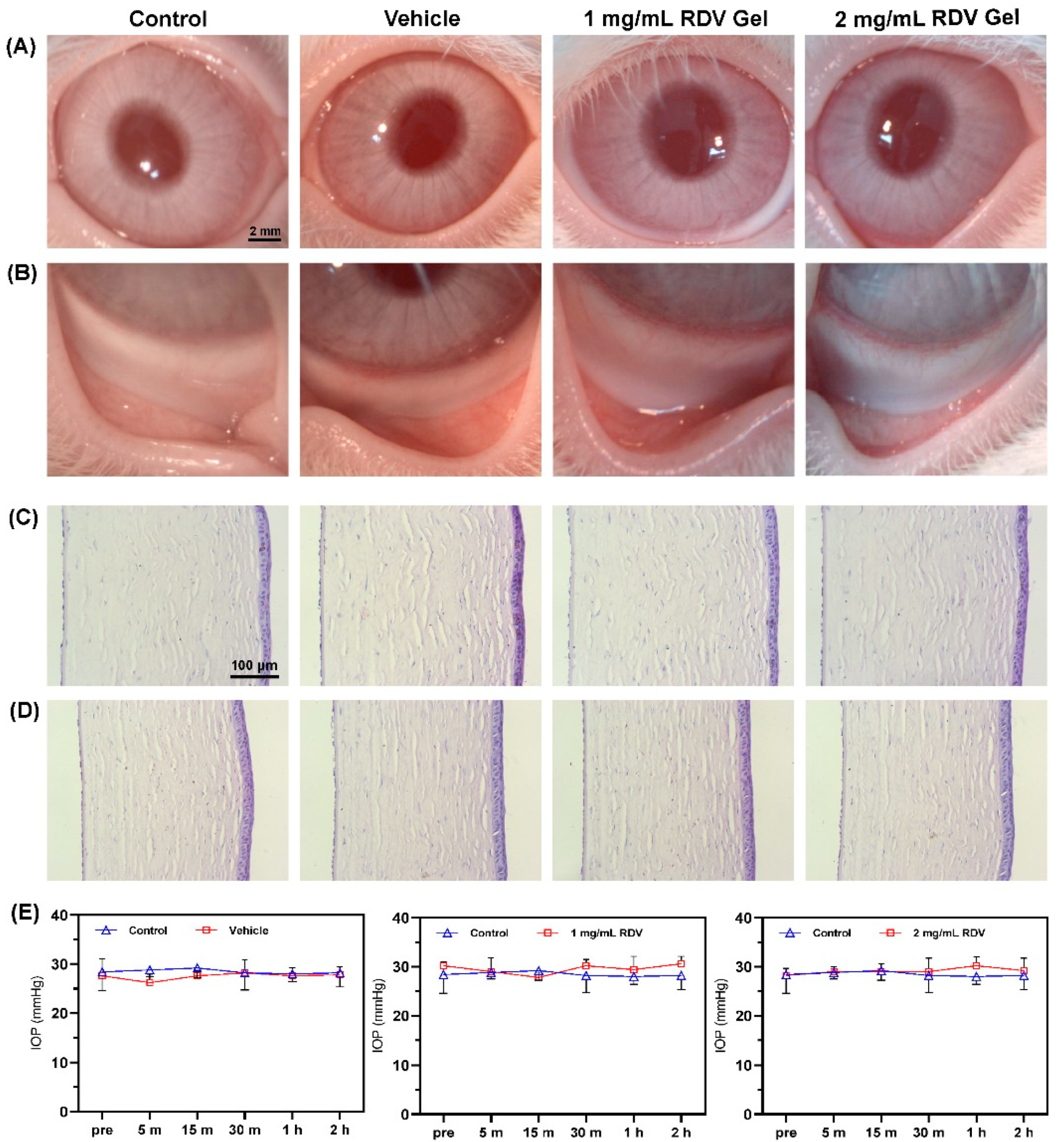 Pharmaceutics 14 00050 g008