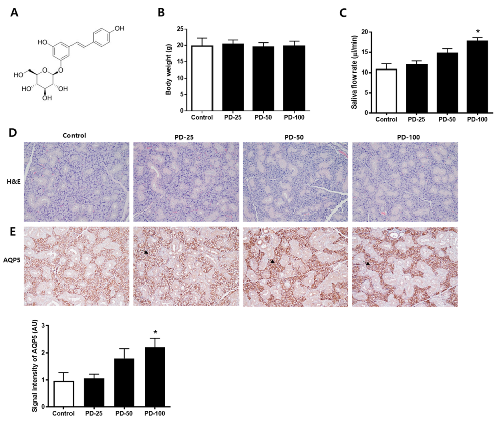 Pharmaceutics 14 00051 g001