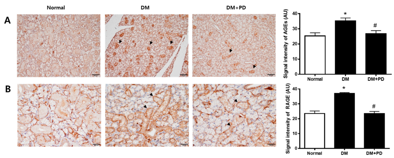 Pharmaceutics 14 00051 g004