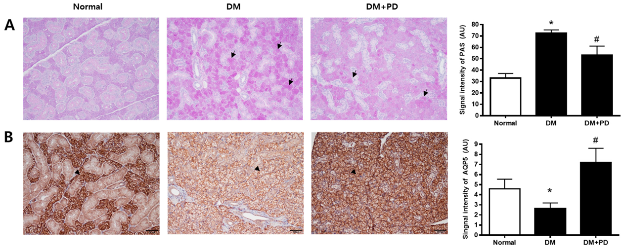 Pharmaceutics 14 00051 g006