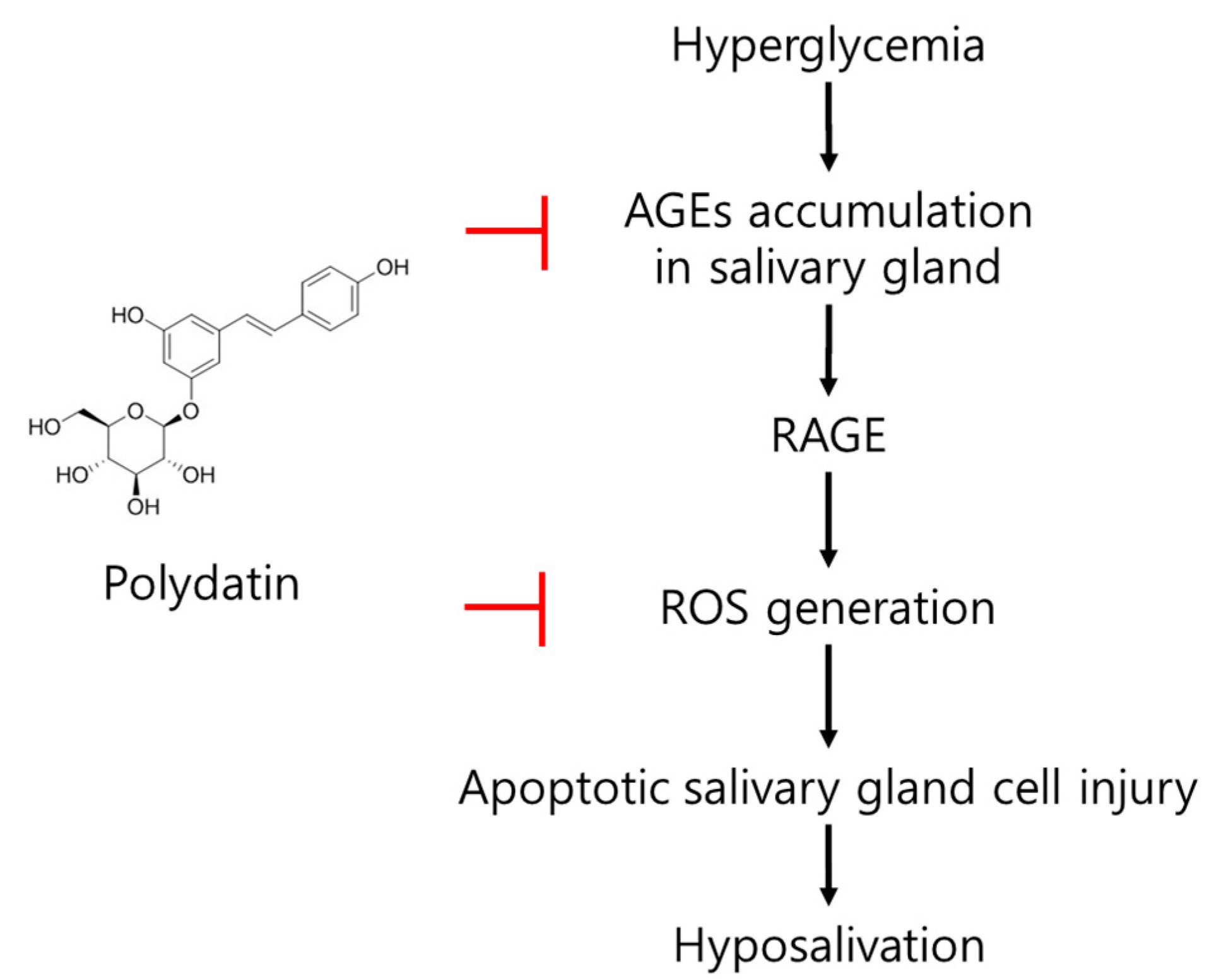 Pharmaceutics 14 00051 g007