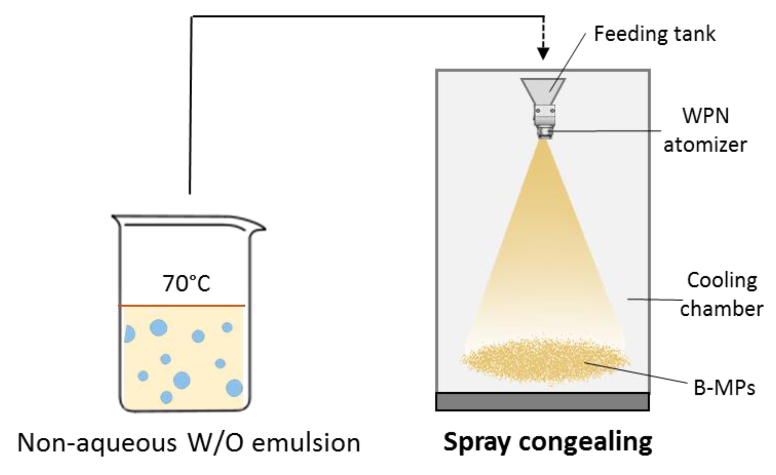 Pharmaceutics 14 00054 g001