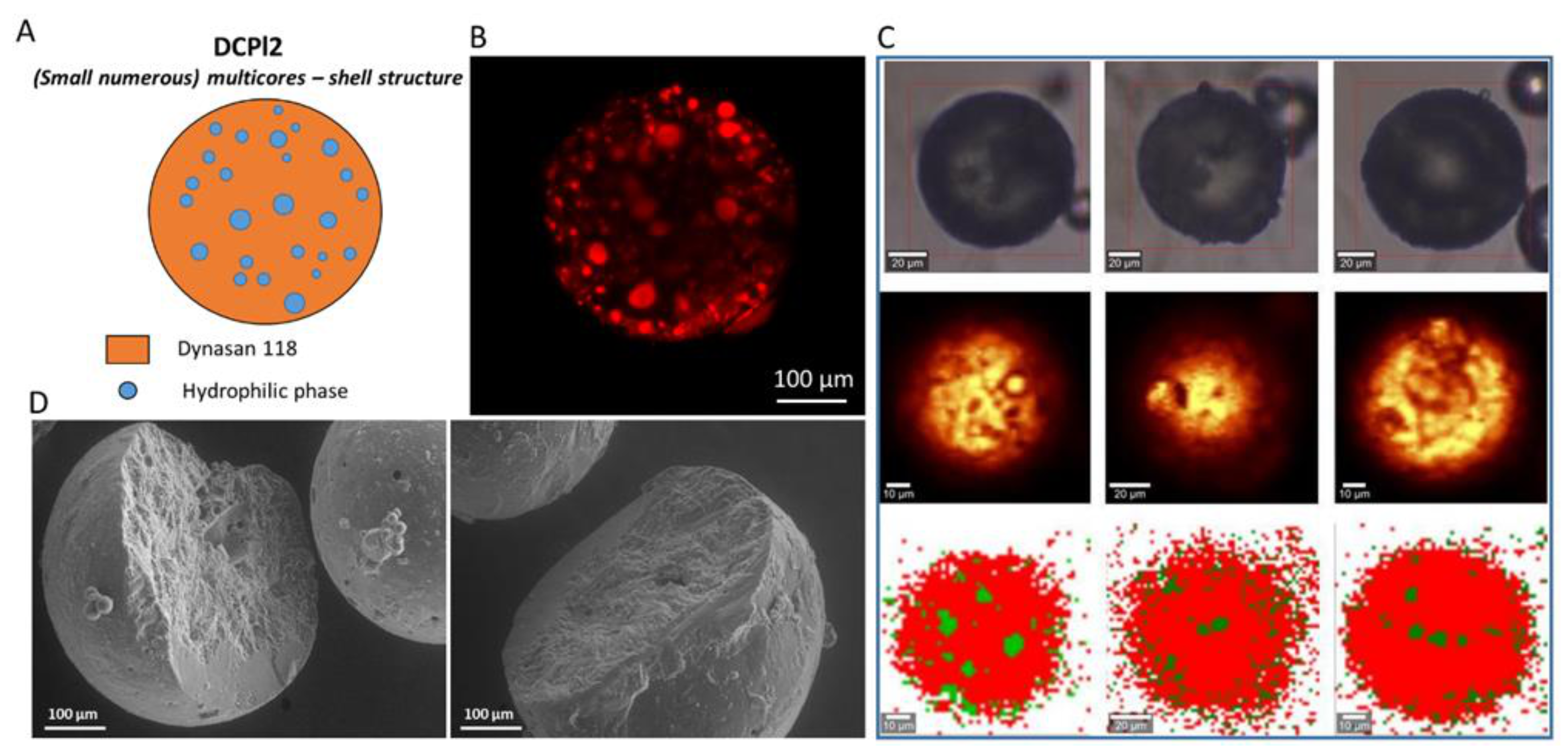 Pharmaceutics 14 00054 g006