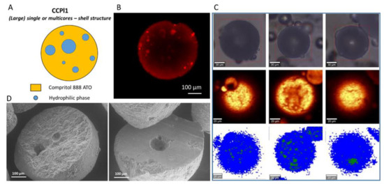 Pharmaceutics 14 00054 g007 550