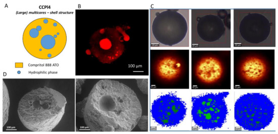 Pharmaceutics 14 00054 g008 550