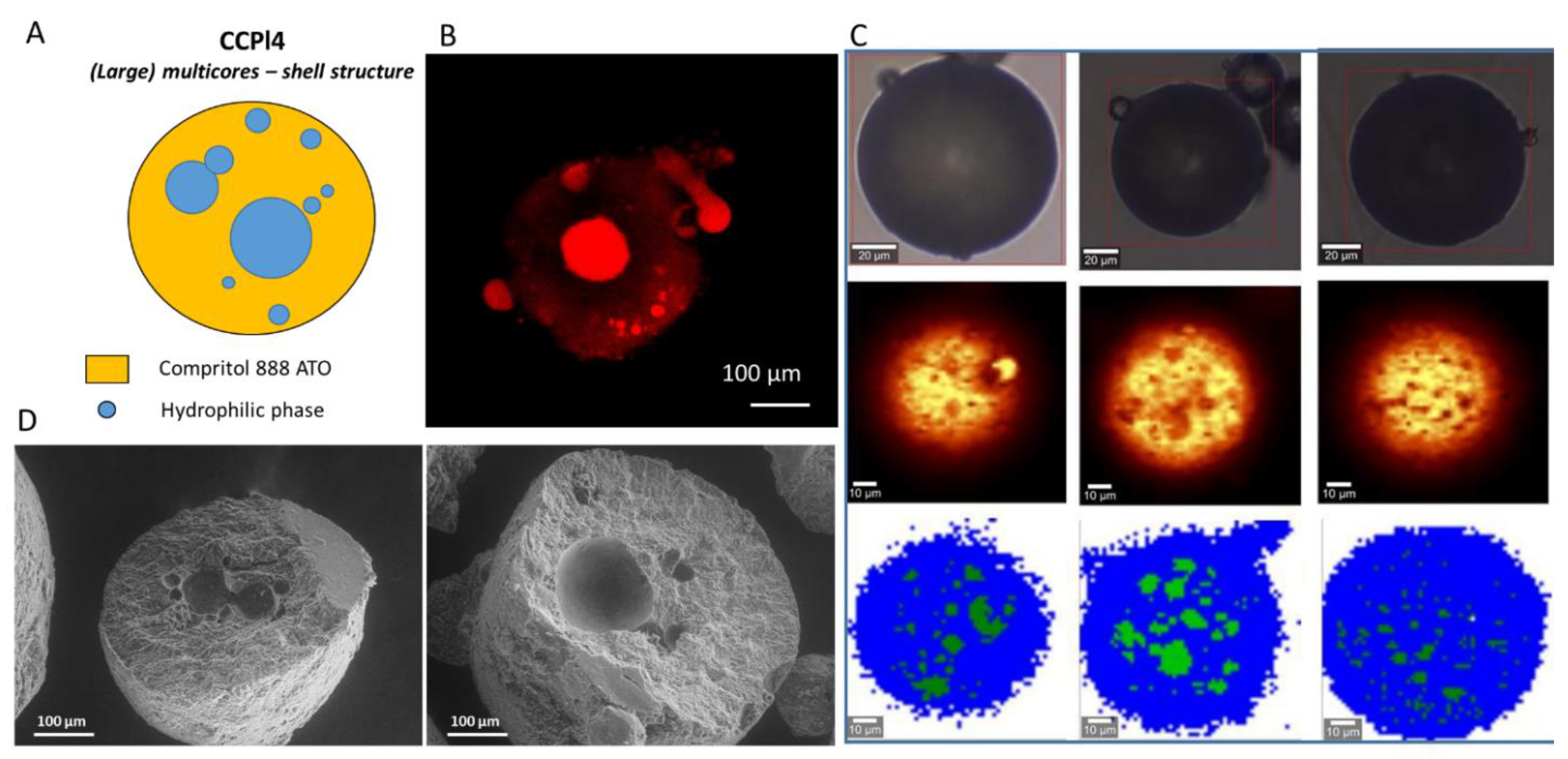 Pharmaceutics 14 00054 g008