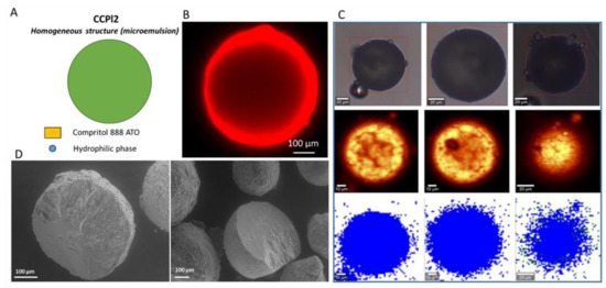 Pharmaceutics 14 00054 g009 550