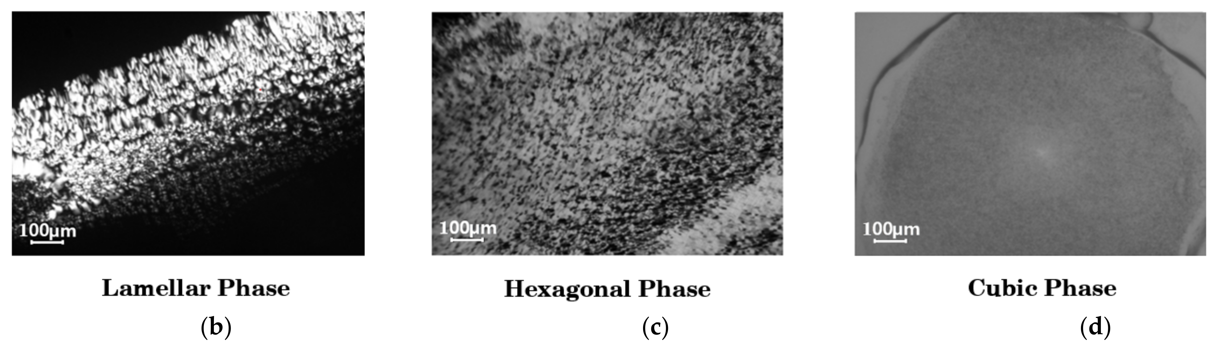 Pharmaceutics 14 00068 g001b