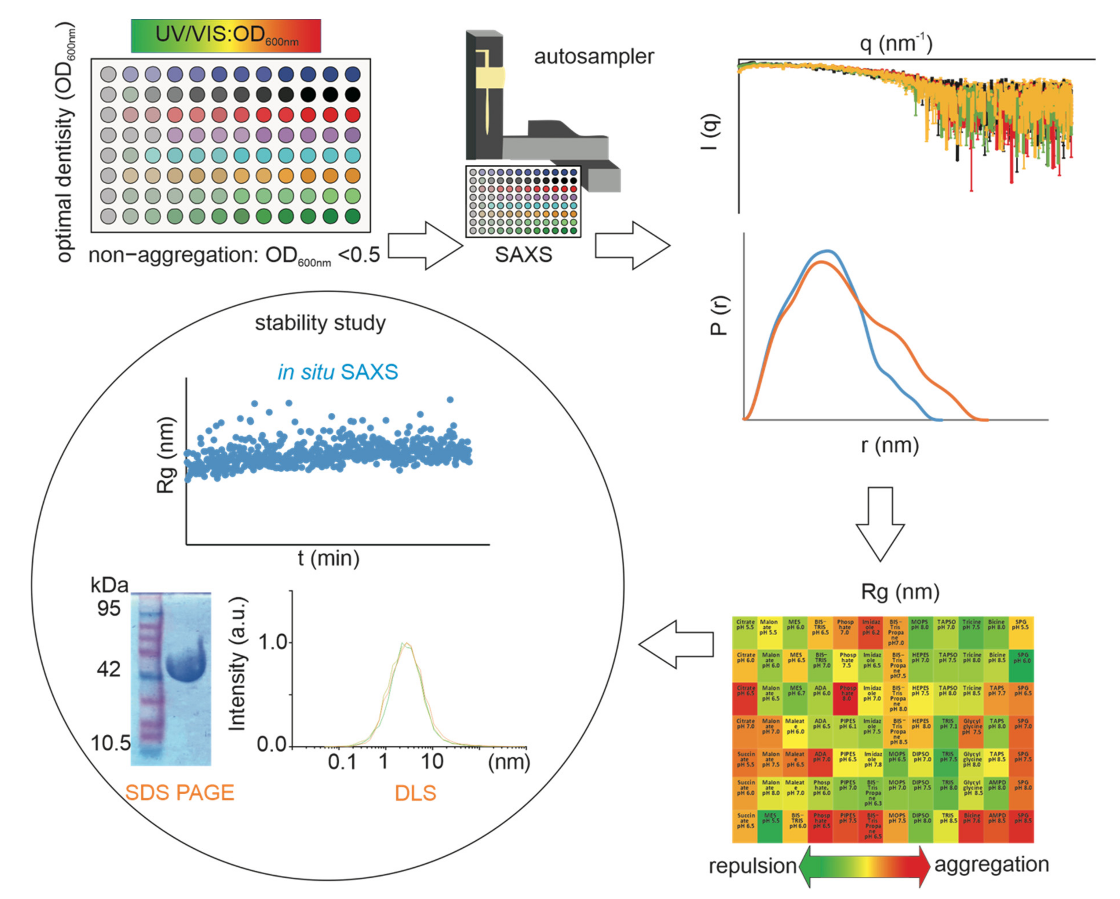 Pharmaceutics 14 00069 g001
