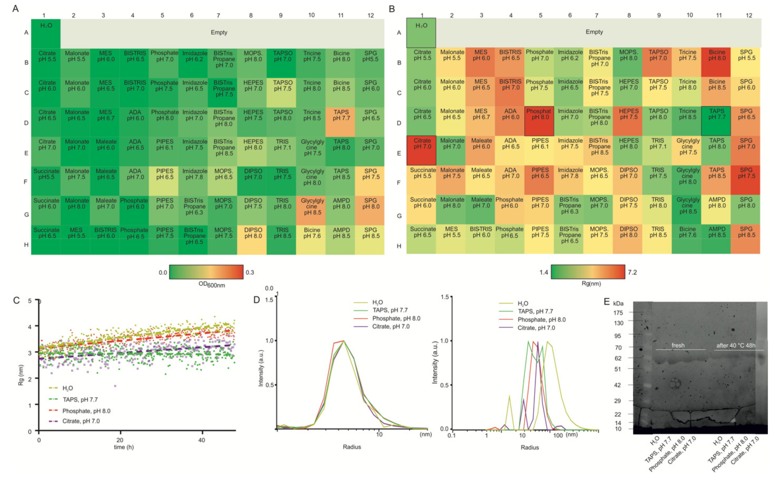 Pharmaceutics 14 00069 g003