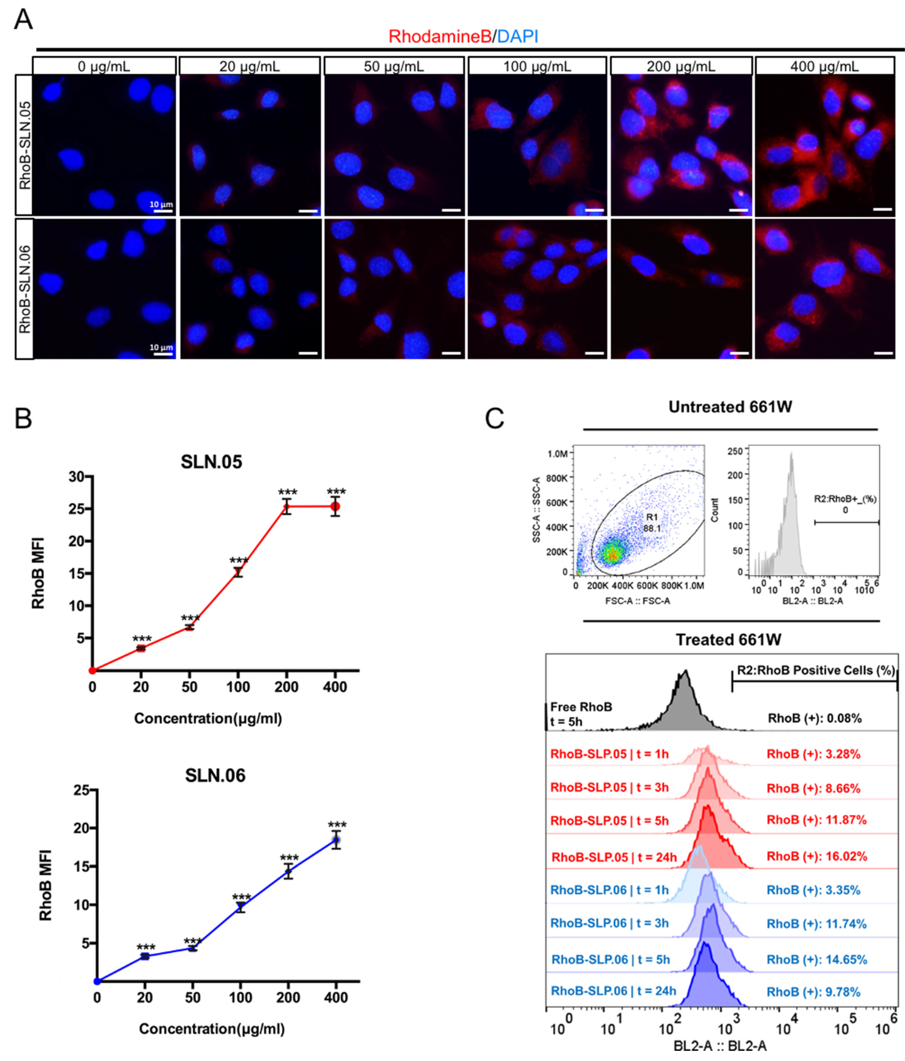 Pharmaceutics 14 00074 g005 Pharmaceutics 14 00074 g005