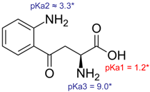 Pharmaceutics 14 00079 i002