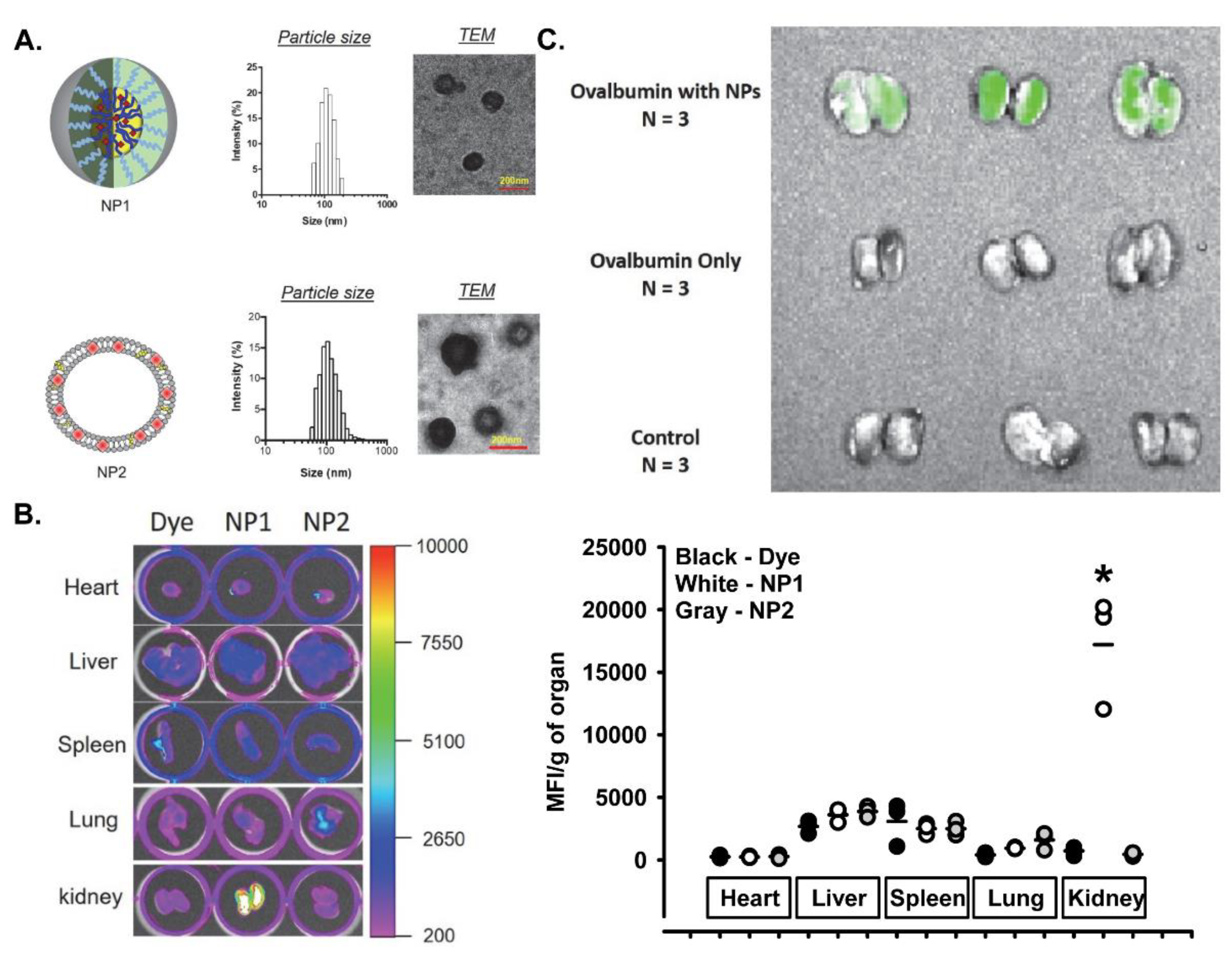 Pharmaceutics 14 00084 g001 Pharmaceutics 14 00084 g001