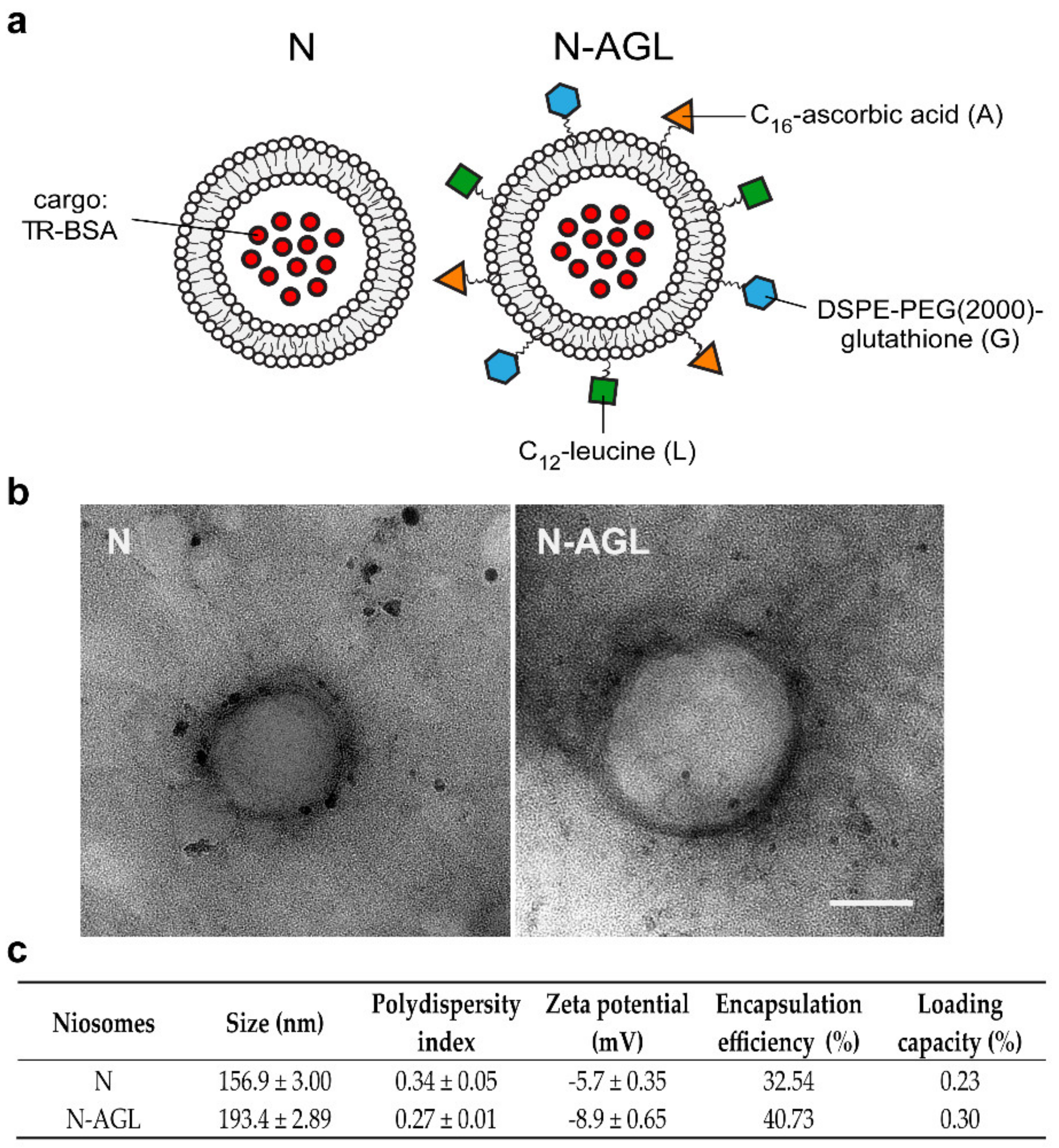 Pharmaceutics 14 00086 g001
