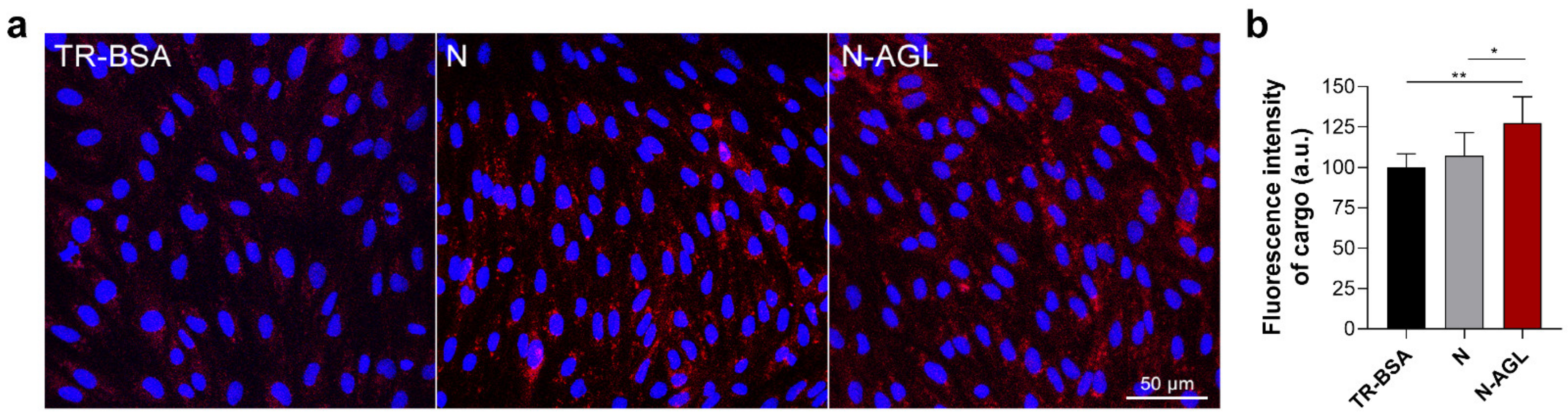 Pharmaceutics 14 00086 g004