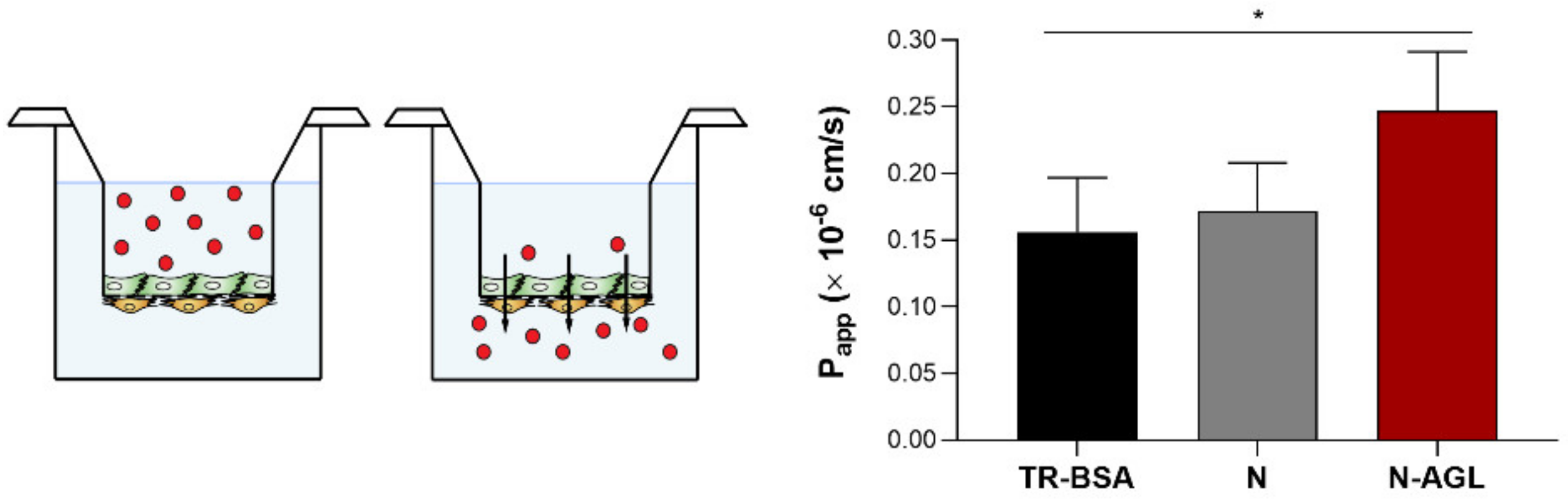 Pharmaceutics 14 00086 g006