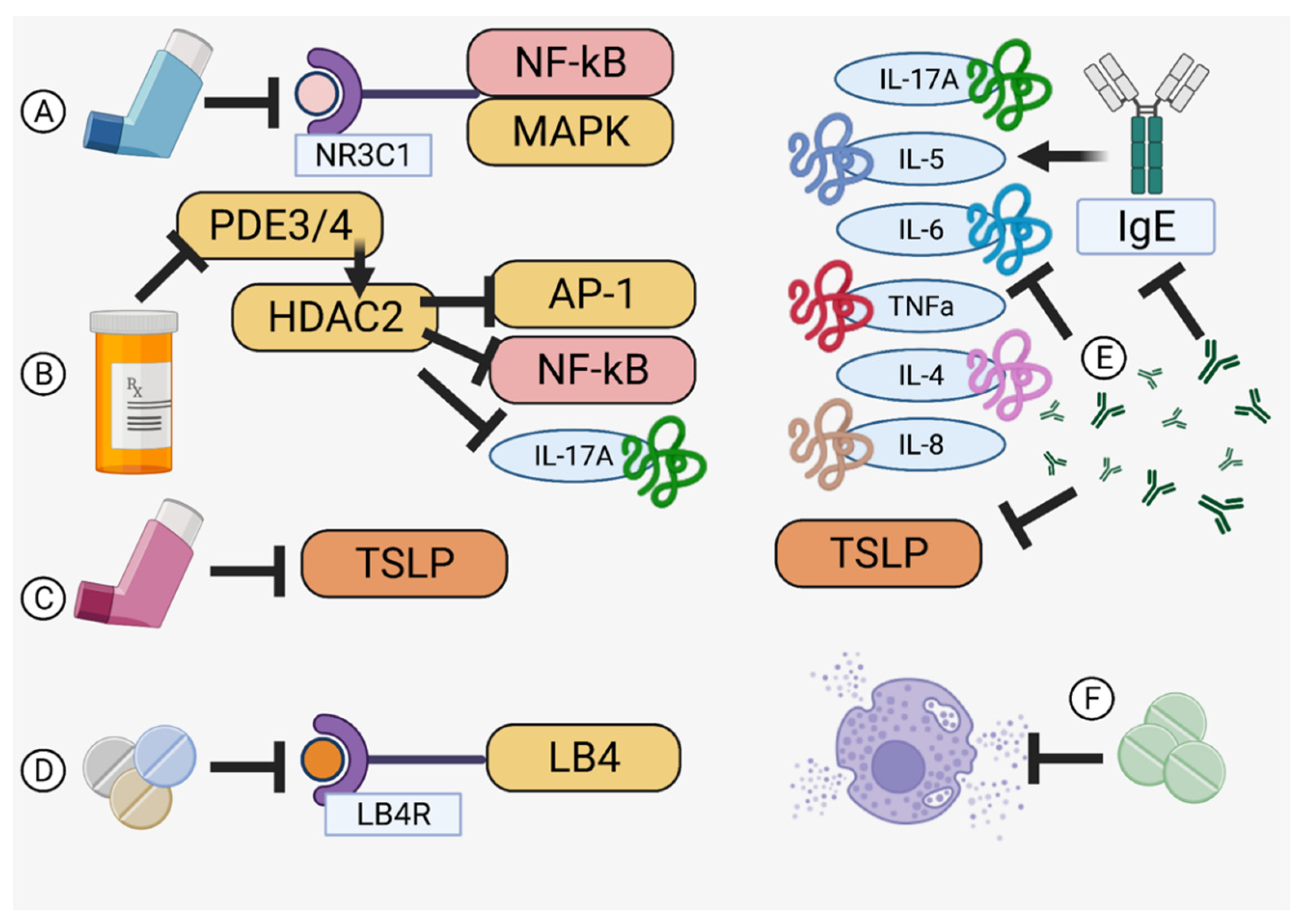 Pharmaceutics 14 00092 g003 Pharmaceutics 14 00092 g003