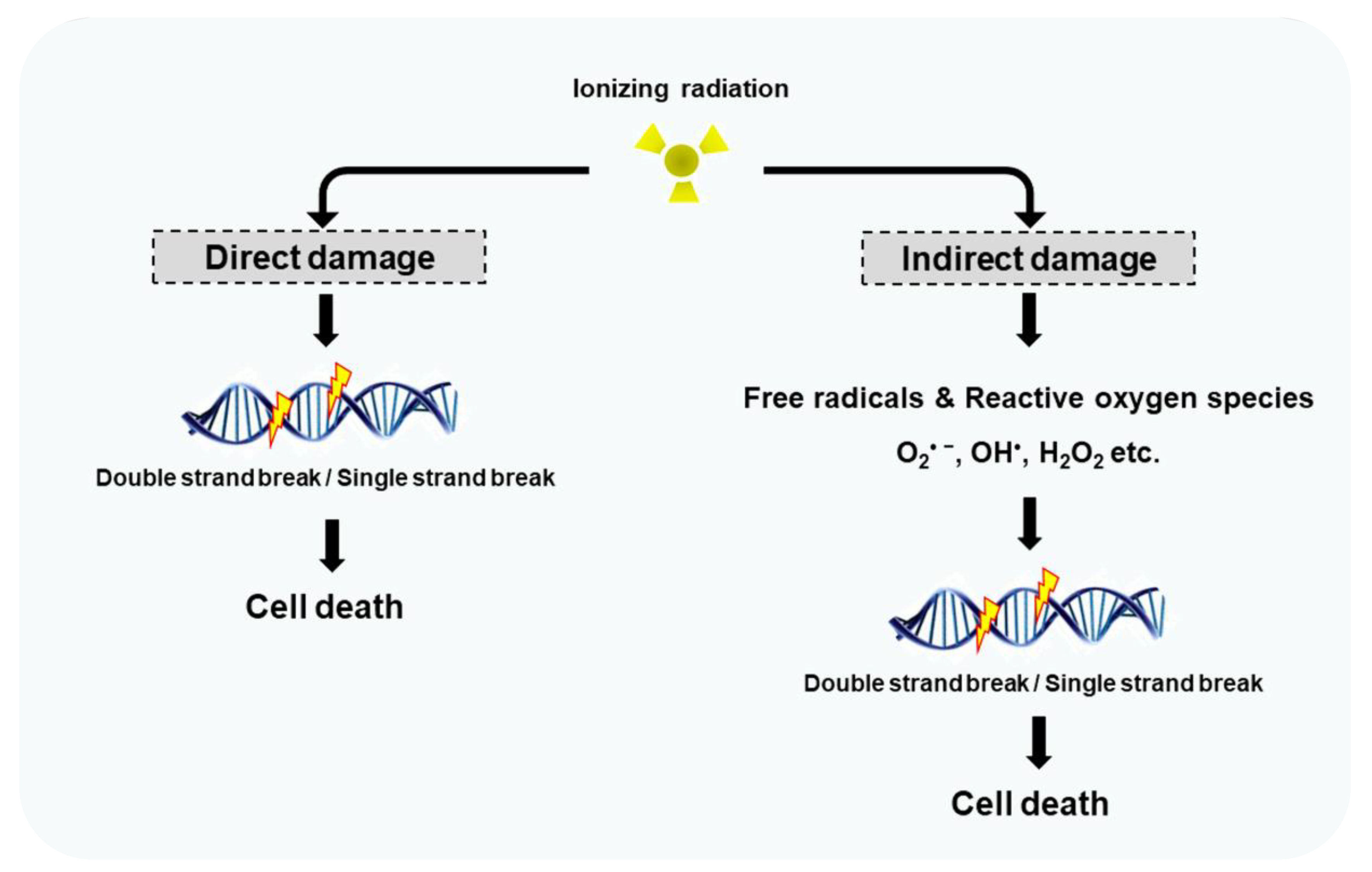 Pharmaceutics 14 00105 g001