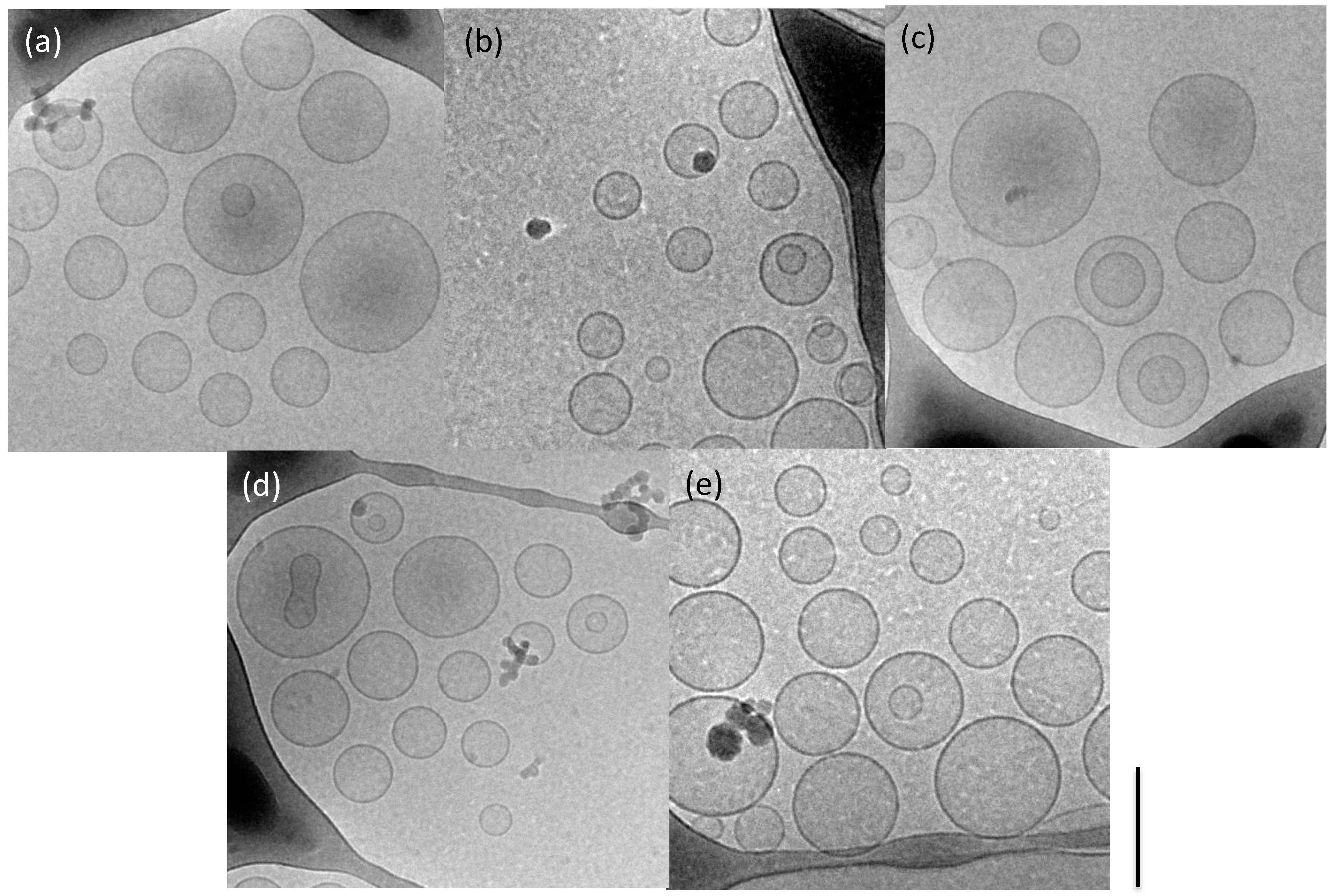 Pharmaceutics 14 00108 g004 Pharmaceutics 14 00108 g004