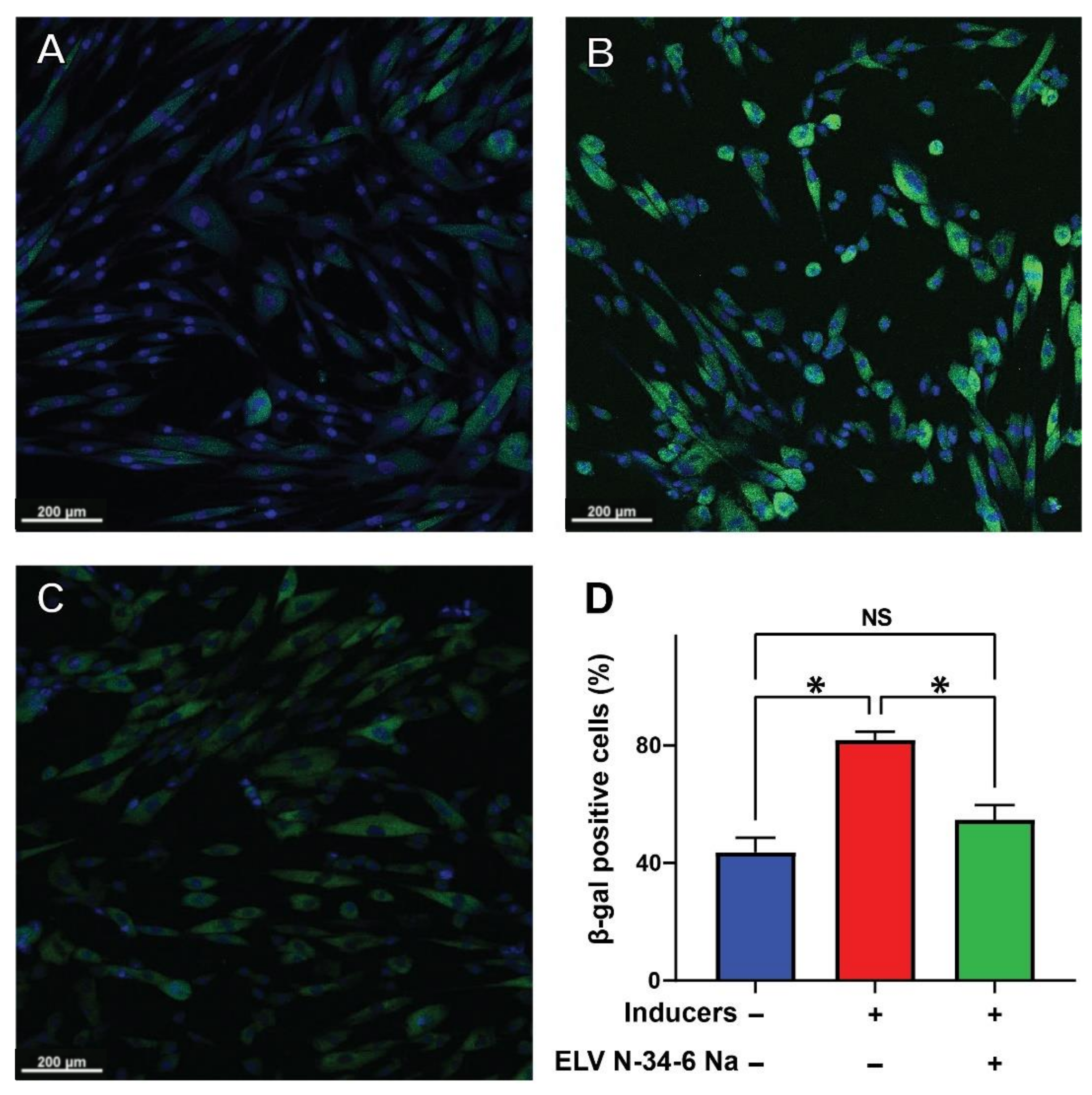 Pharmaceutics 14 00113 g005