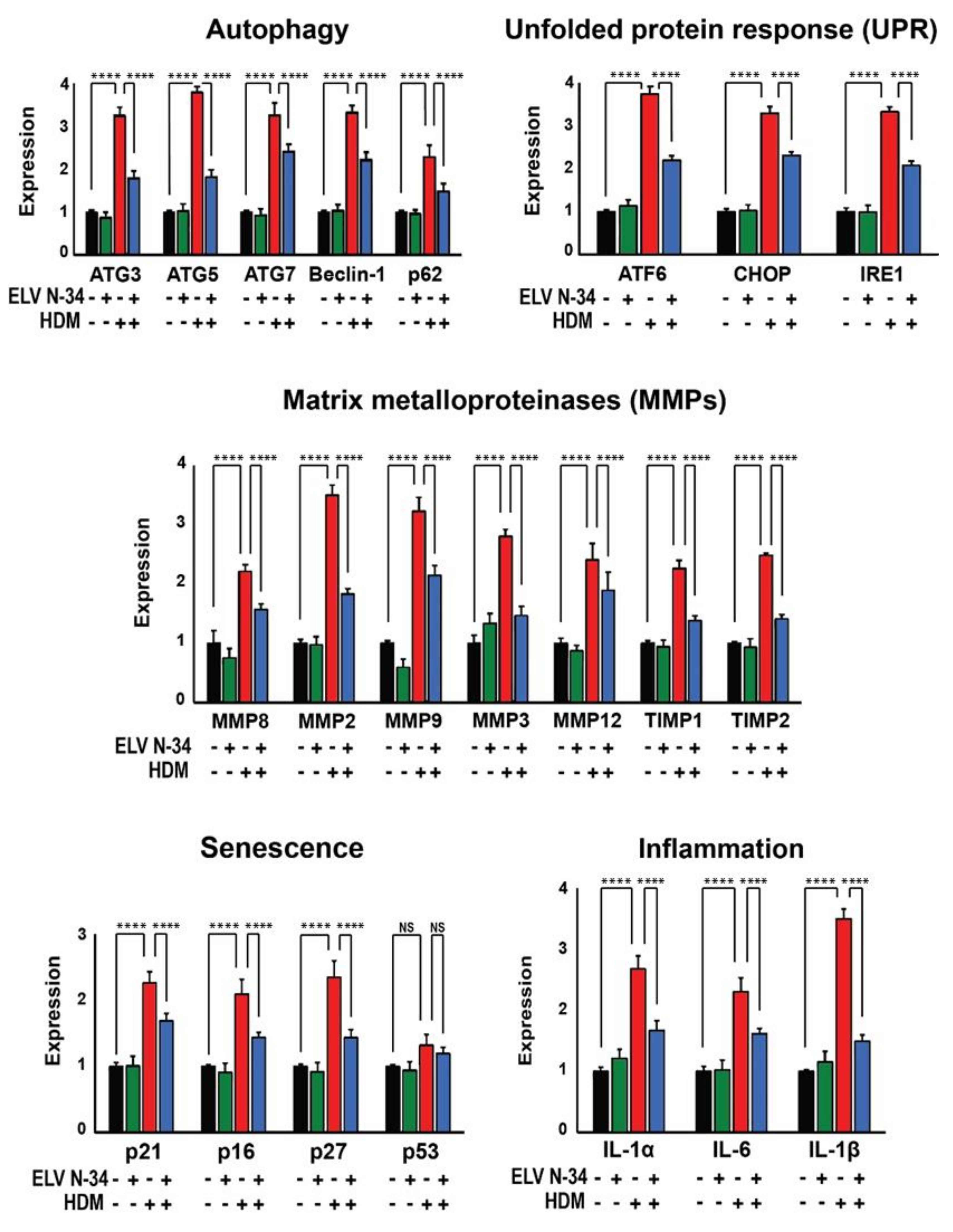 Pharmaceutics 14 00113 g006