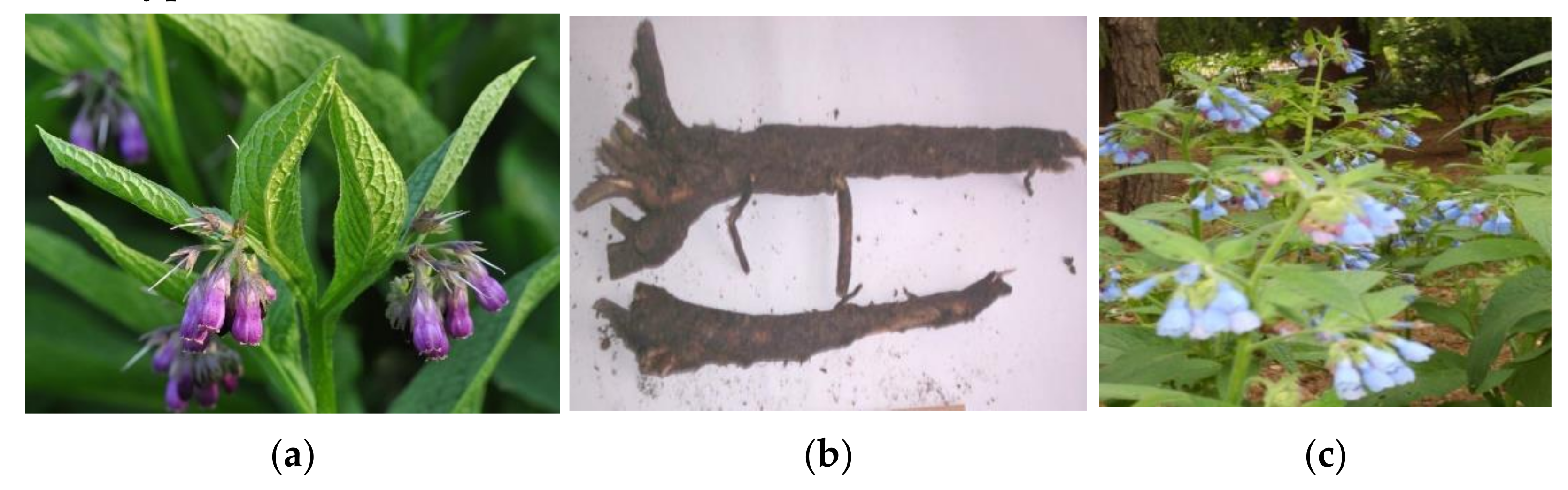 Pharmaceutics 14 00115 g001