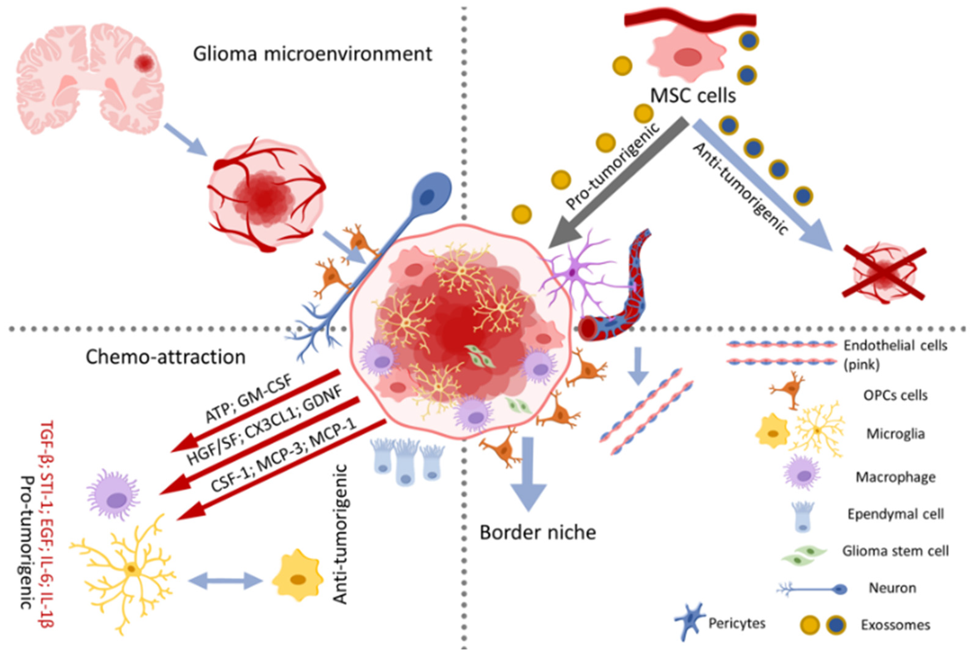 Pharmaceutics 14 00116 g002