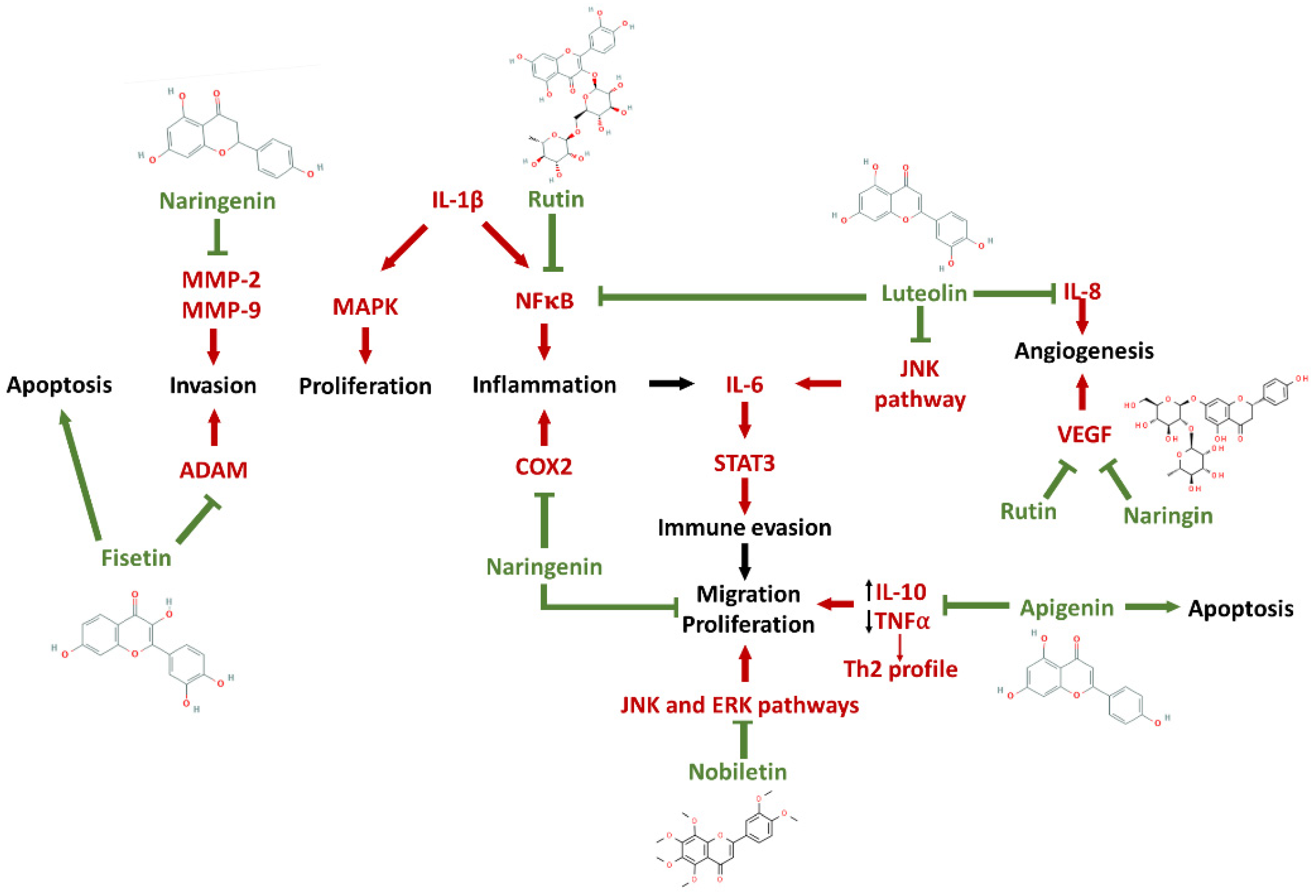 Pharmaceutics 14 00116 g004
