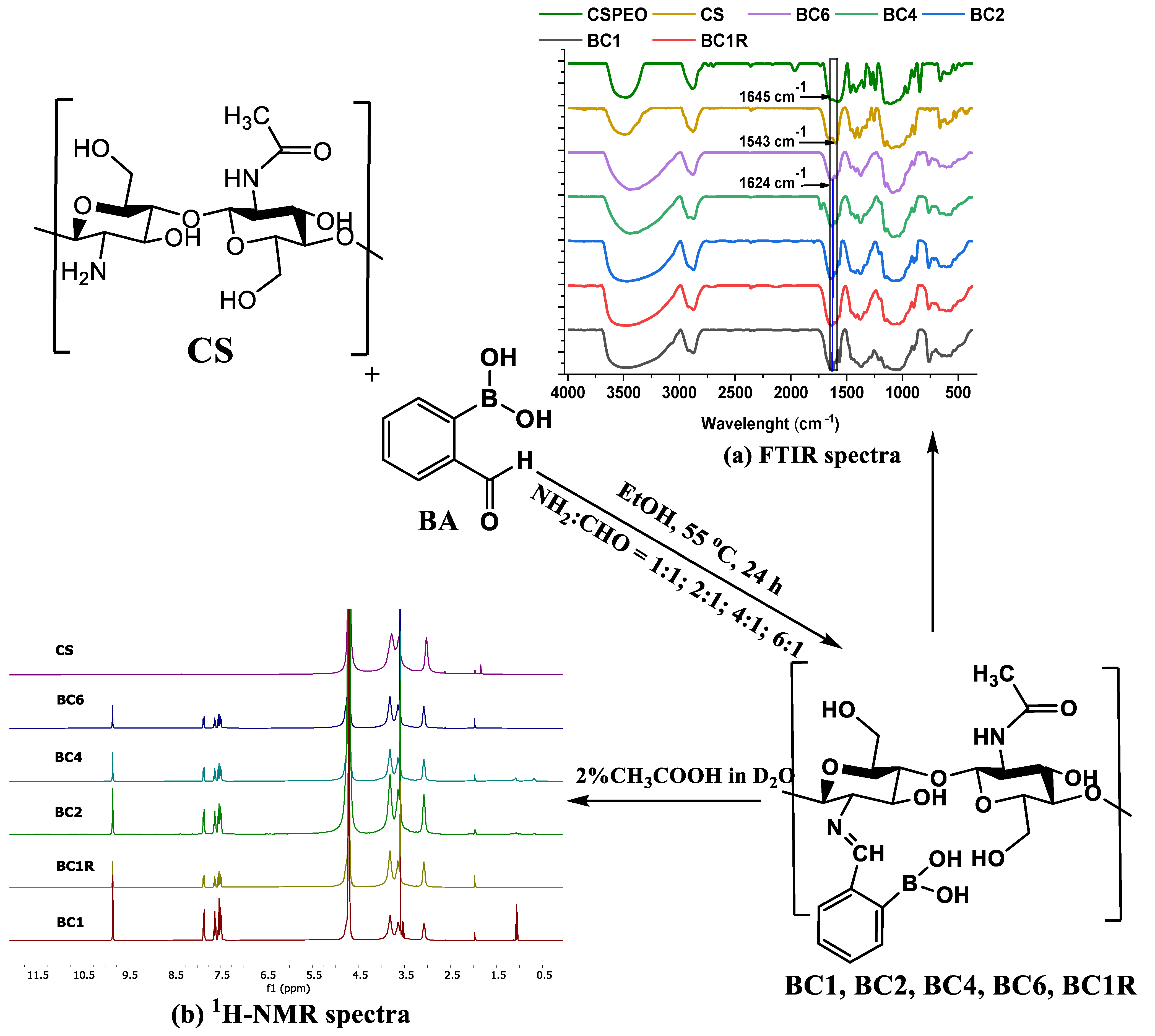 Pharmaceutics 14 00117 g001
