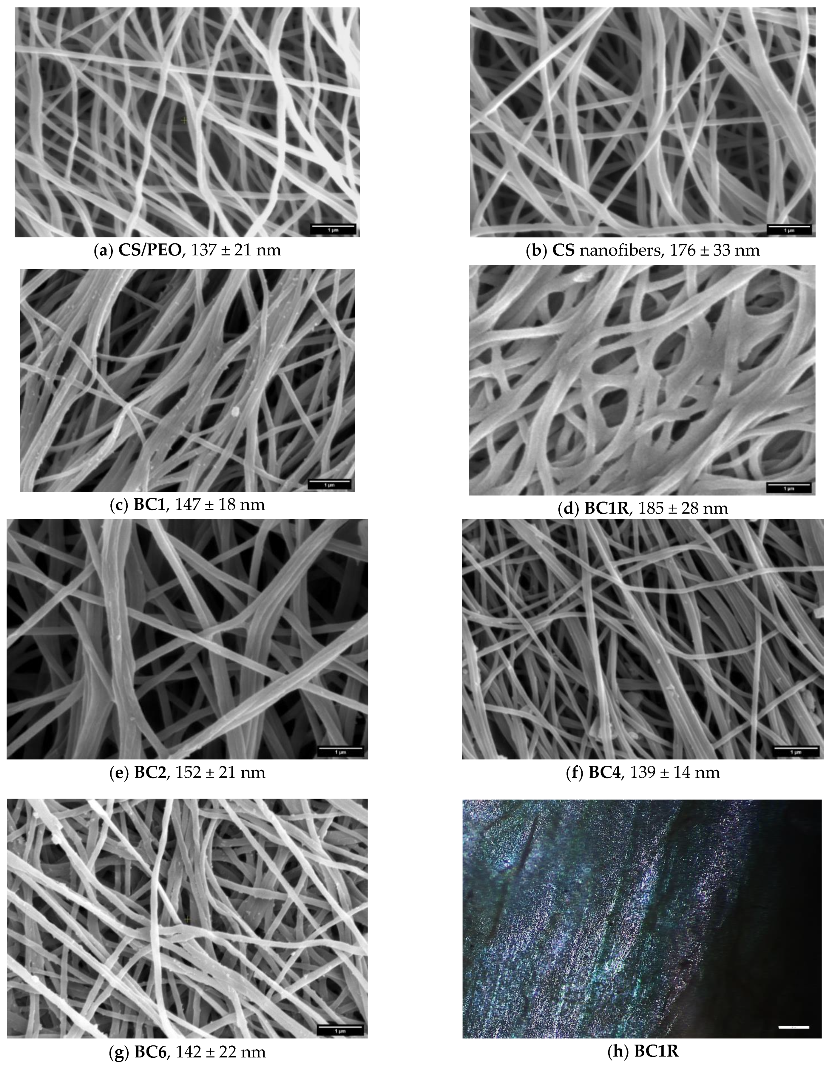 Pharmaceutics 14 00117 g004