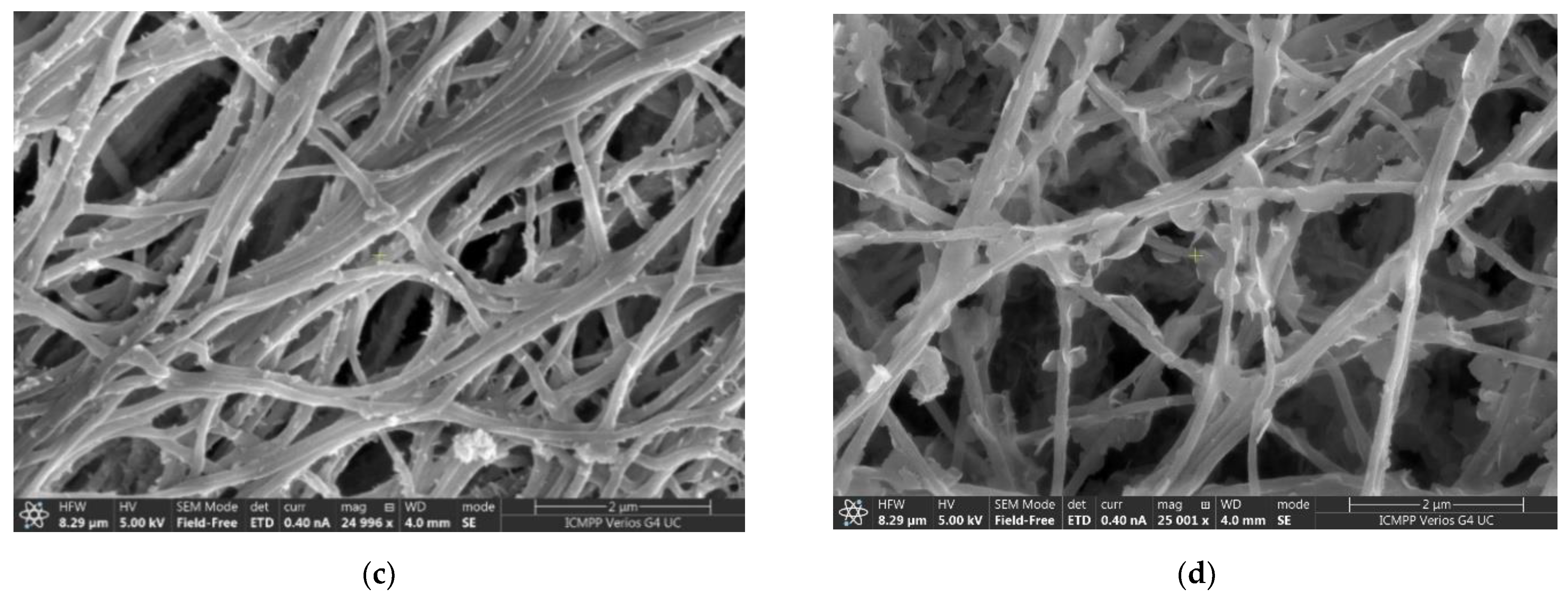 Pharmaceutics 14 00117 g008b